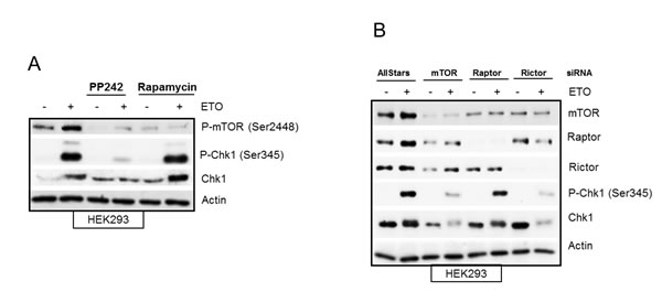 fig6