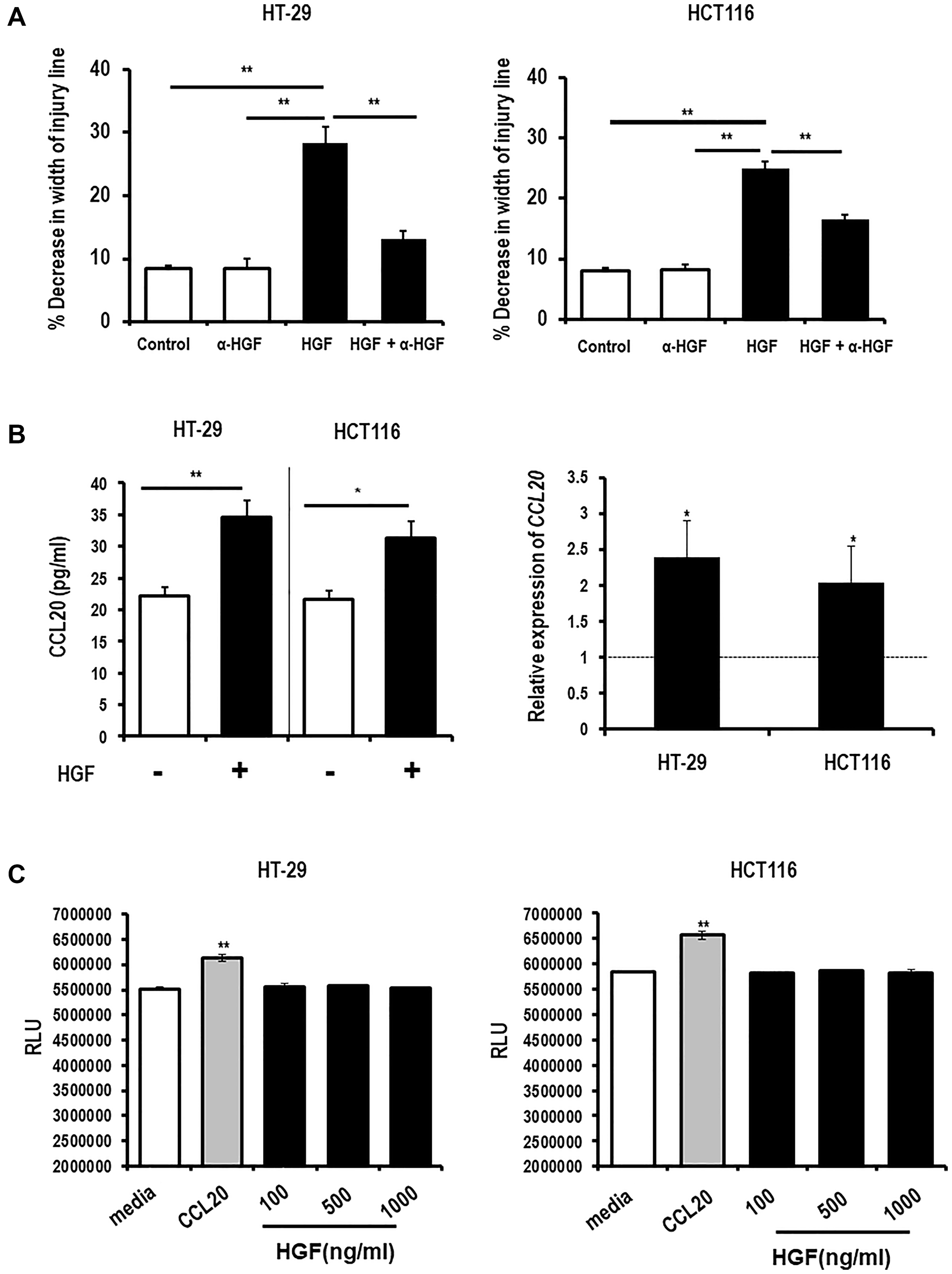 HGF induces colorectal cancer cell migration and CCL20 production but not proliferation