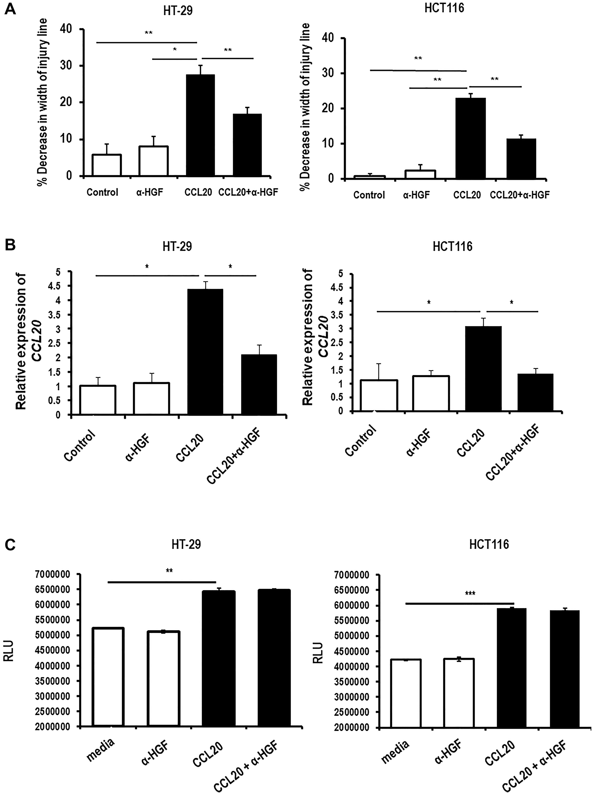 CCL20-dependent colorectal cancer cell migration and CCL20 production, but not proliferation, are mediated by HGF