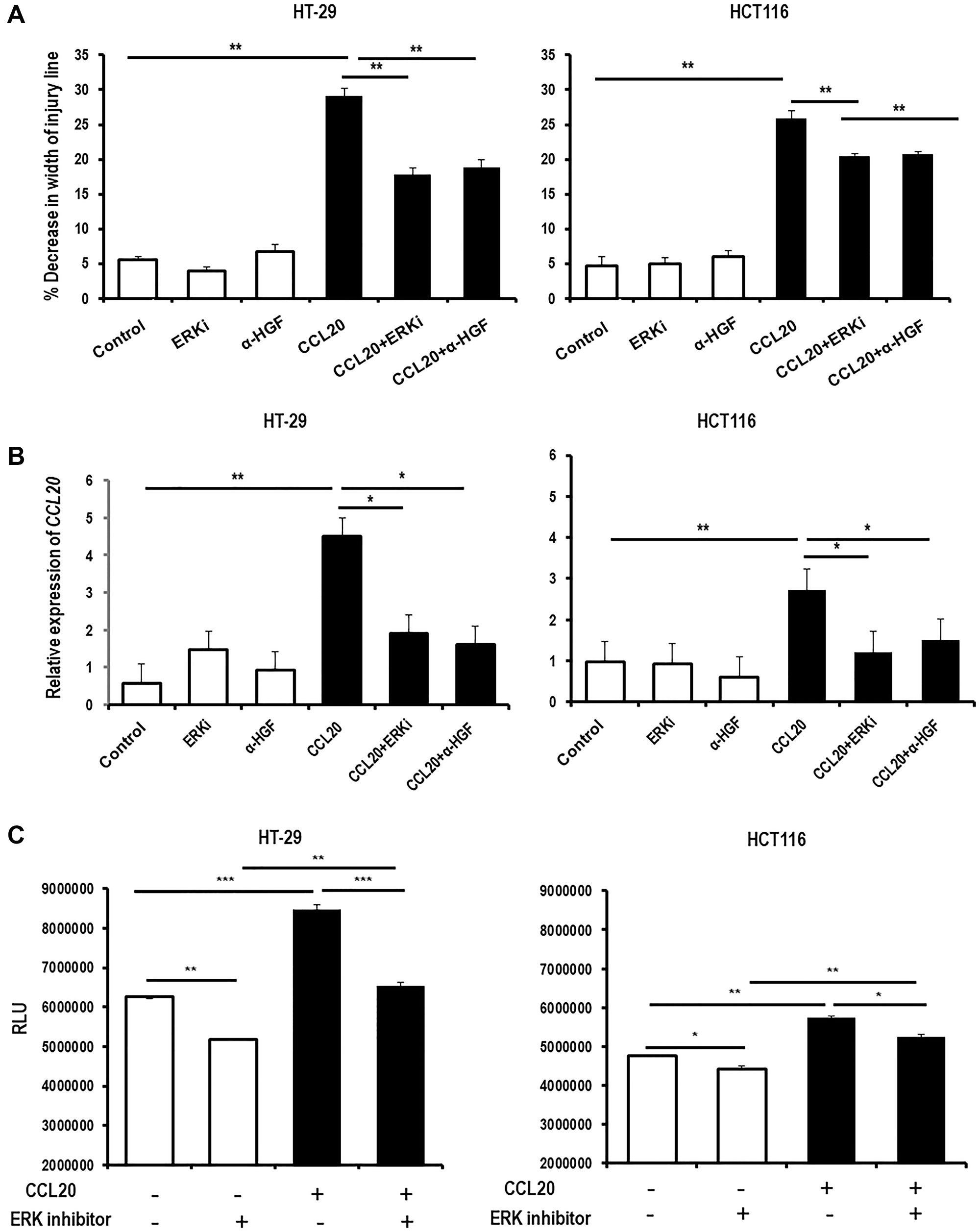 CCL20-dependent colorectal cancer cell migration and CCL20 production are mediated by ERK, while proliferation is mediated by ERK through a CCL20-independent process