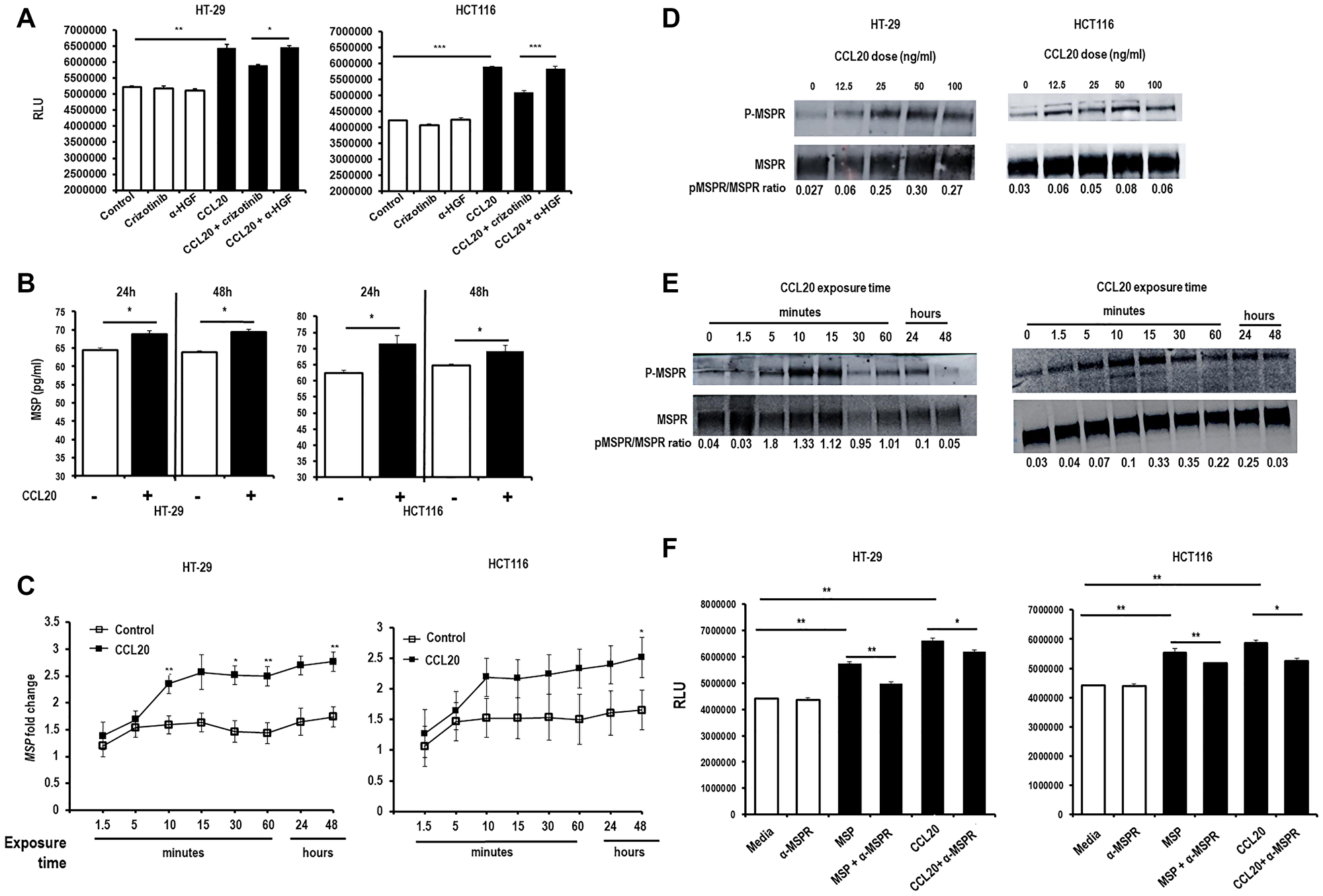 CCL20-dependent colorectal cancer cell proliferation is mediated by MSP