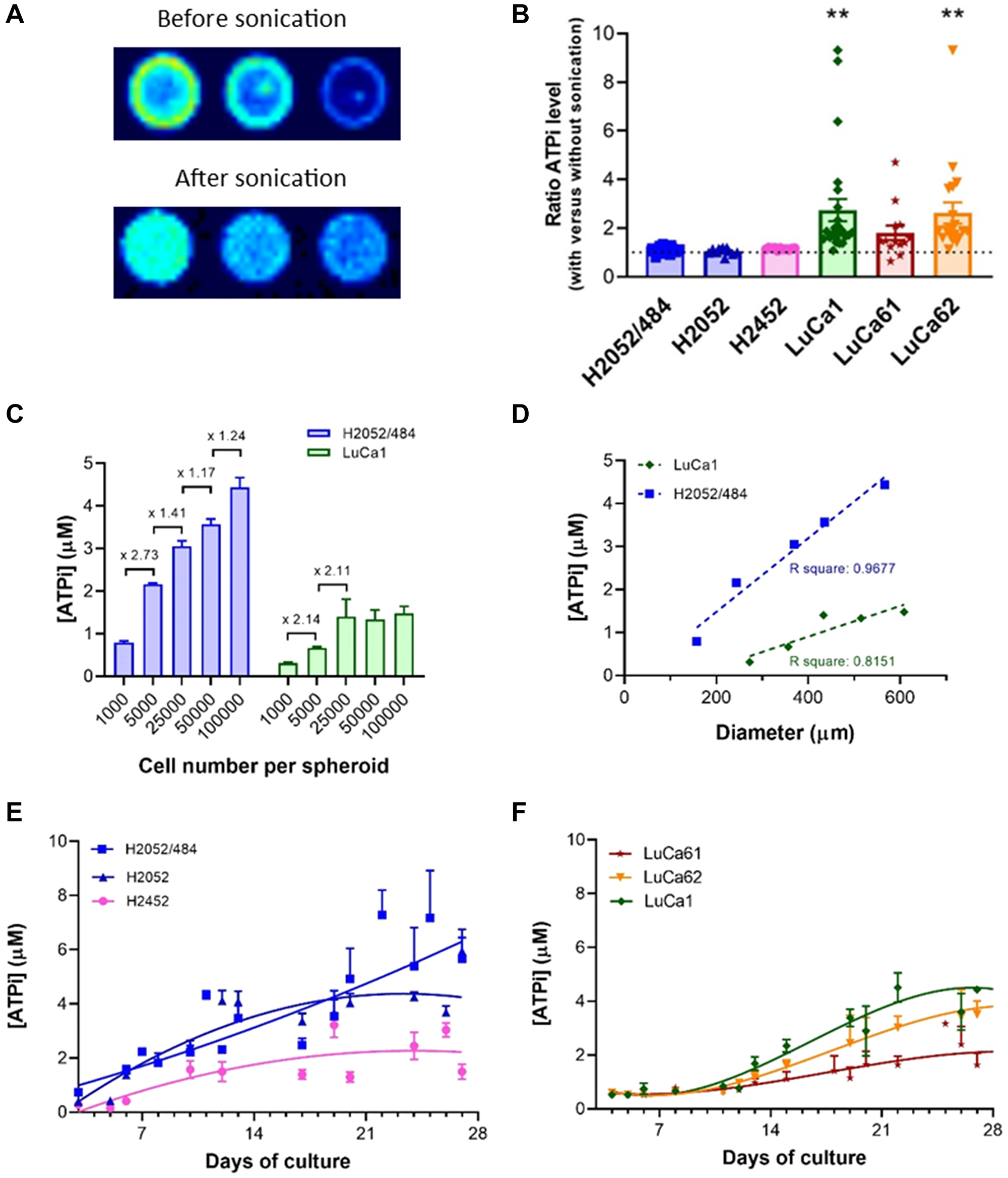 Cell viability measurement using an ATP-based luminescence assay