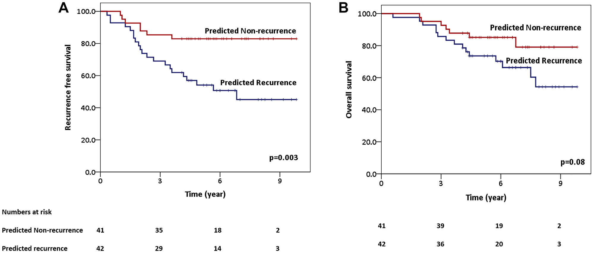 Predicted survival plots using support vector machine classifier predicted groups (predicted recurrence vs. predicted non-recurrence)-recurrence-free survival (A) and overall survival (OS) (B).
