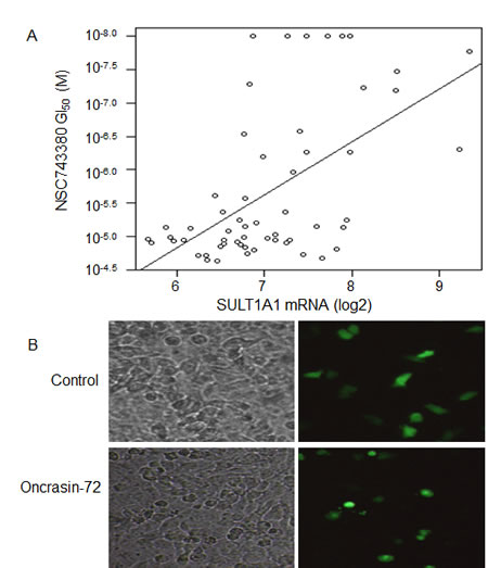 fig1