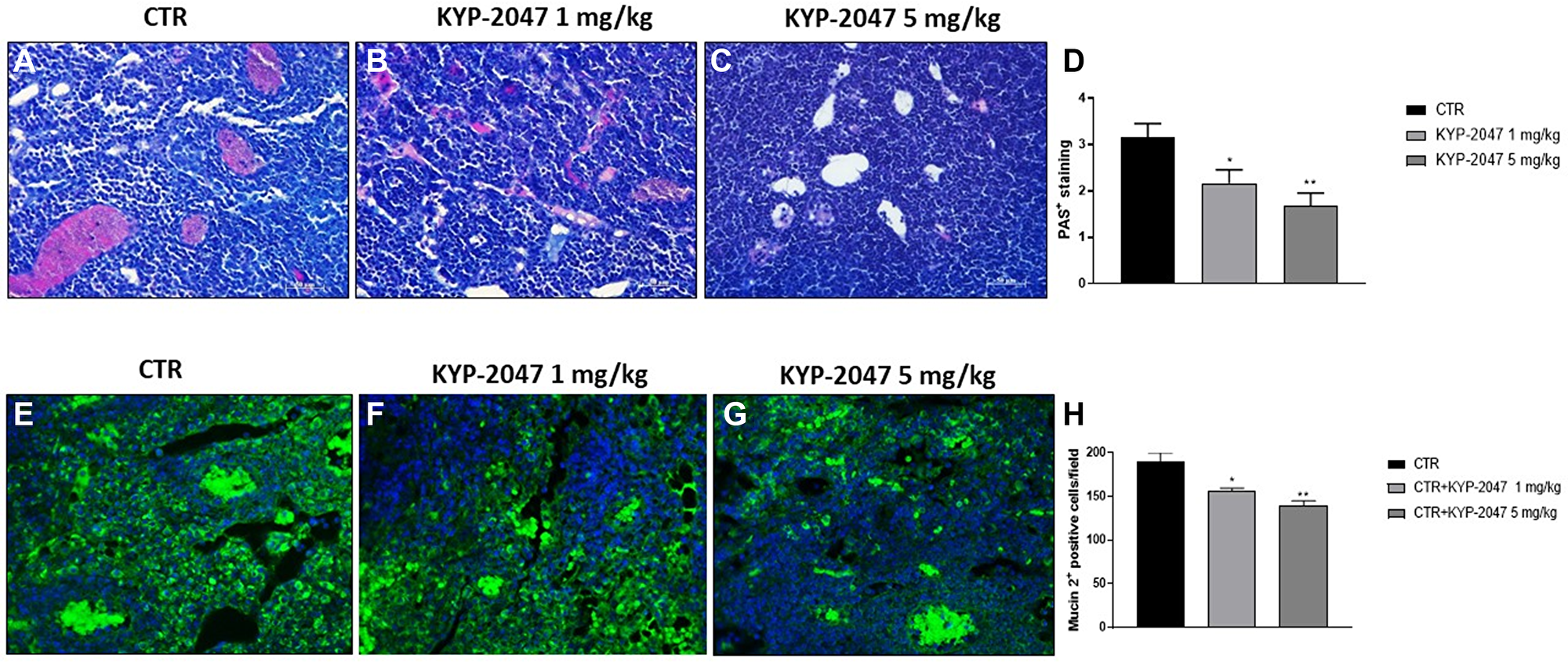 Effect of KYP-2047 on mucosal content