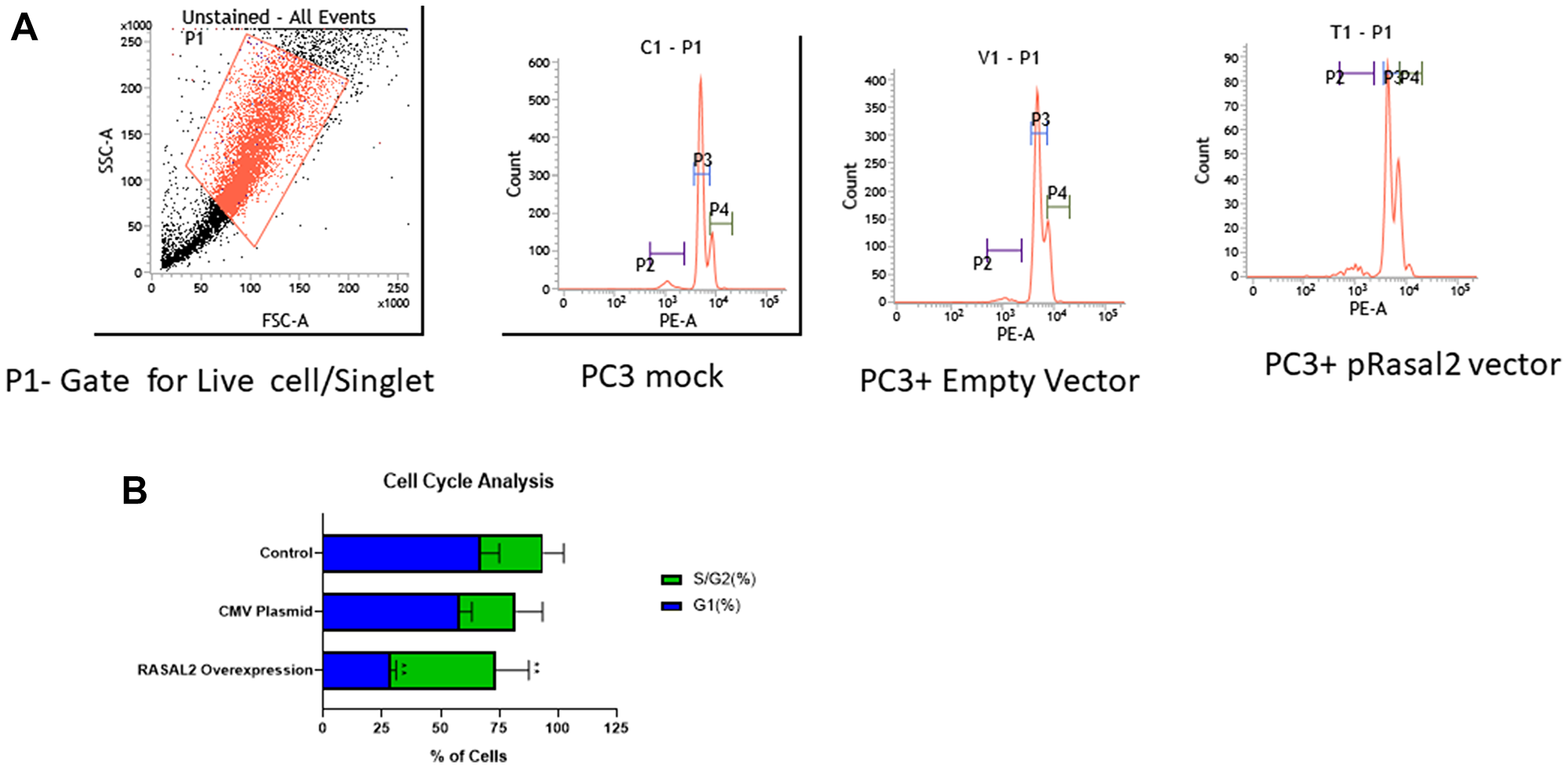 (A) Flow cytometry analysis on cell cycle in PC3 cells stably transfected with RASAL2 vector or empty vector only. Representative figure and percentage of cells in each phase of cell cycle. (B) Histogram of cell cycle analysis in PC3 stably transfected with RASAL2 plasmid or empty vector compared to mock untransfected cells. P2- gate of apoptotic cells; P3- gate for G1 phase and P4- gate for S/G2 phase of the cell cycle. Data shown are representative of 3 independent experiments.
