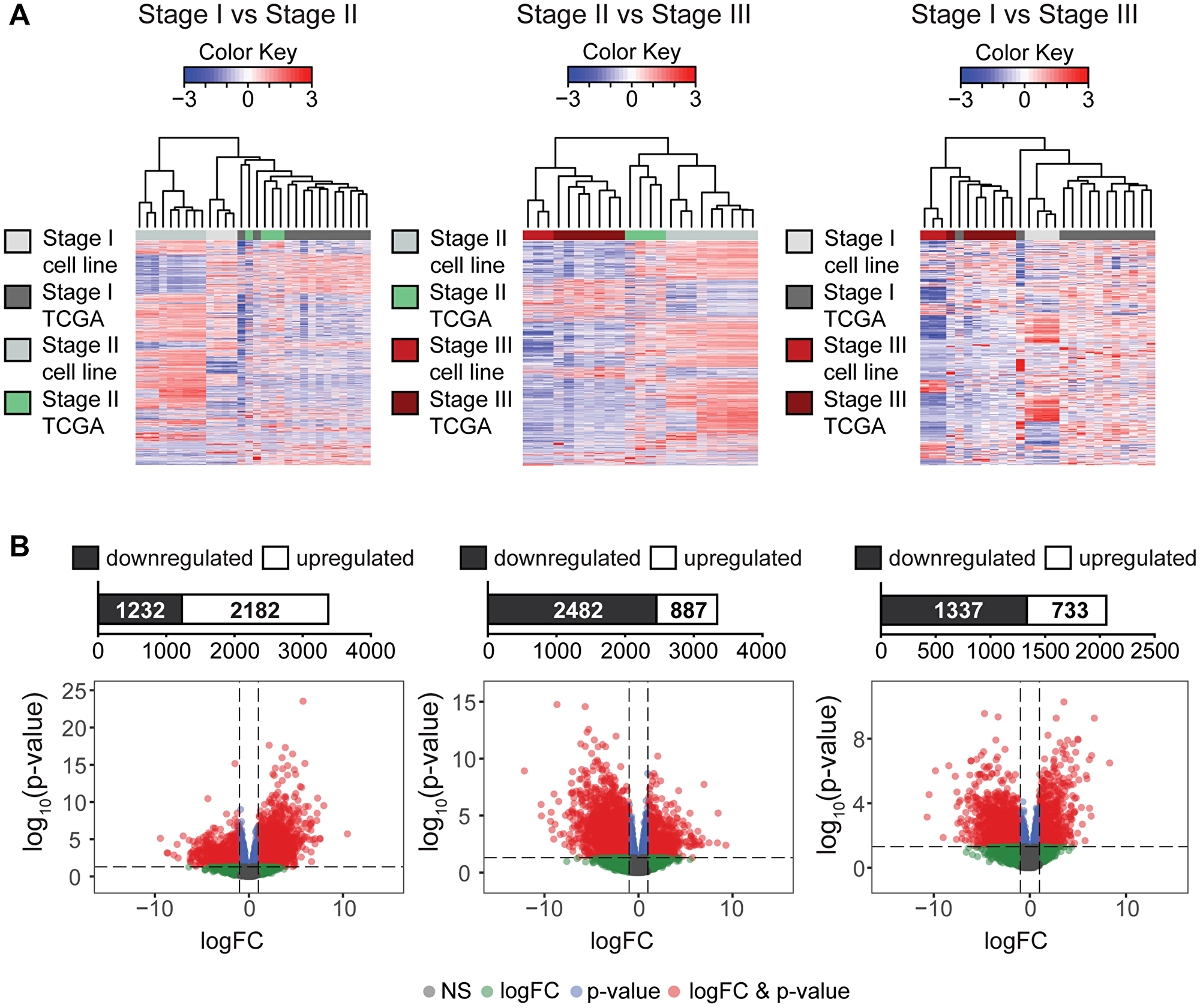 Differential expression analysis of transcriptomes in TCGA tumor samples and endometrial cancer cell lines