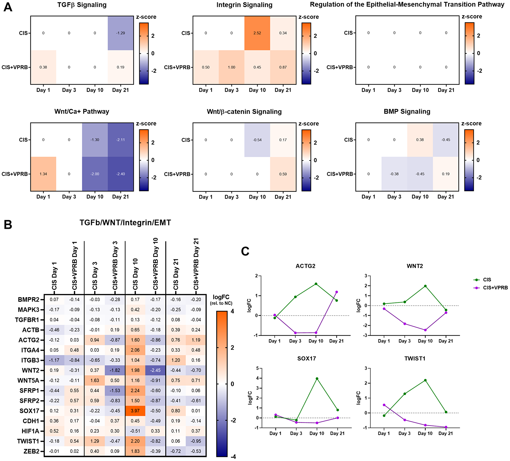 TGF-b, WNT, and integrin signaling pathways in Calu6-FP6 models treated with cisplatin and veliparib