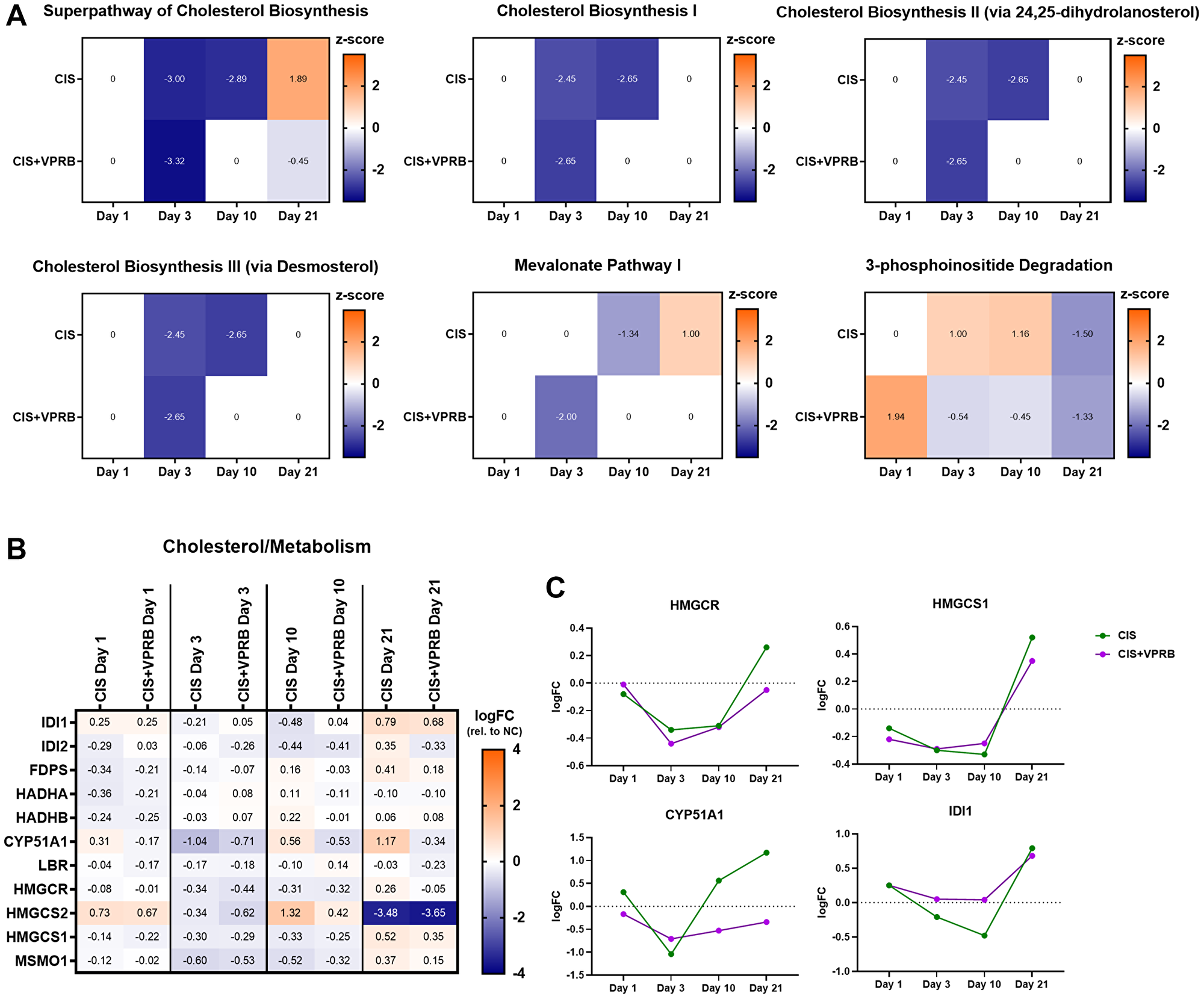 Cholesterol biosynthesis pathways in Calu6-FP6 models treated with cisplatin and veliparib