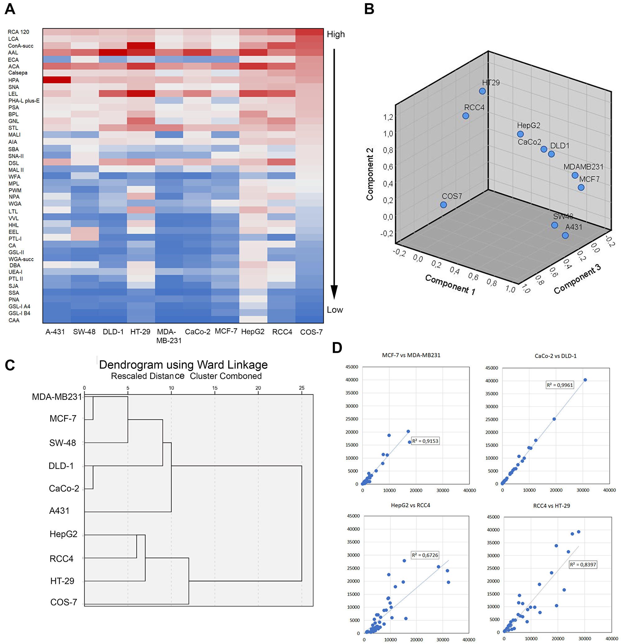Comparison of glycosylation profiles between different cancer cell types