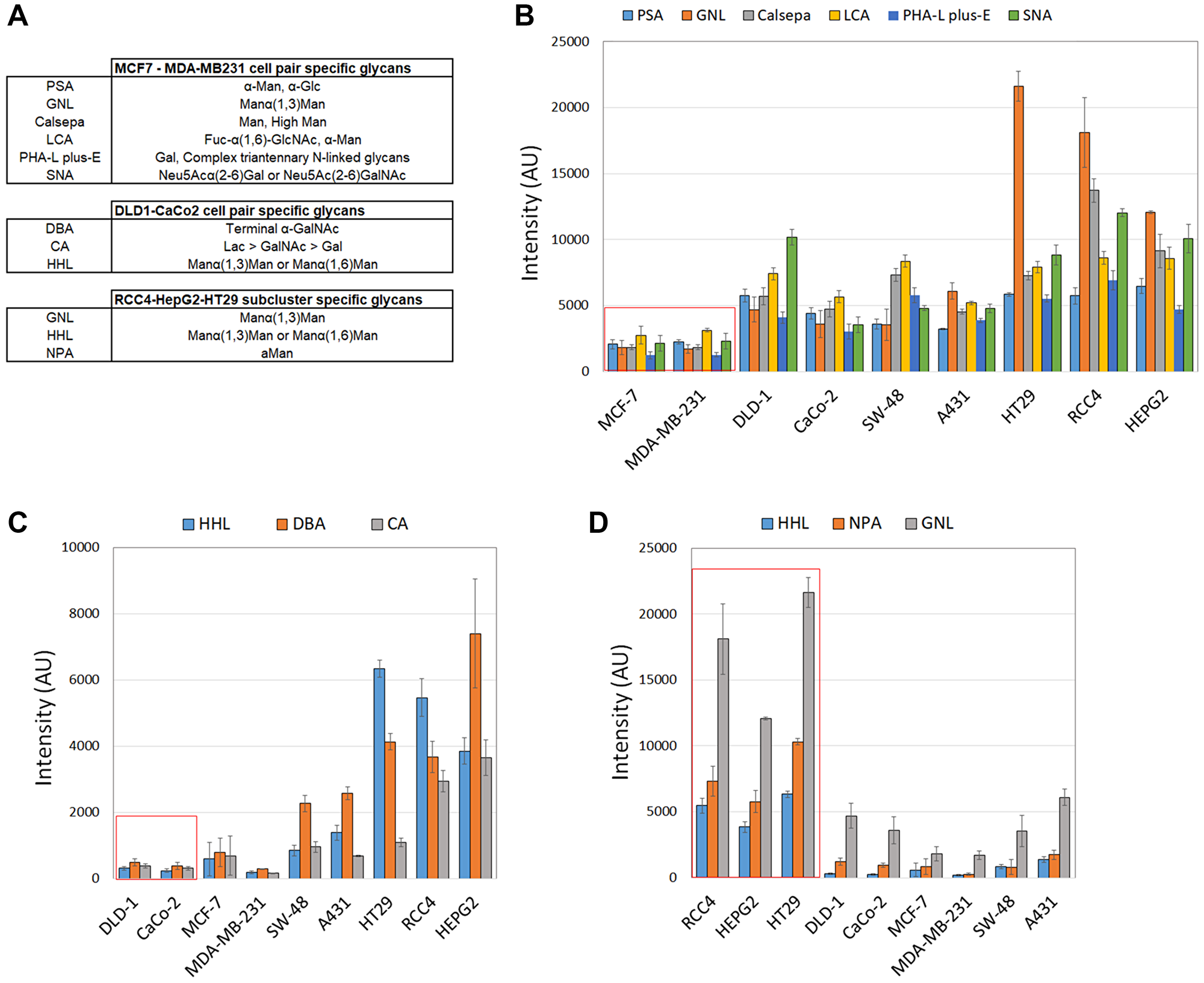 Identification of lectins that are specific for each clustered cell pair