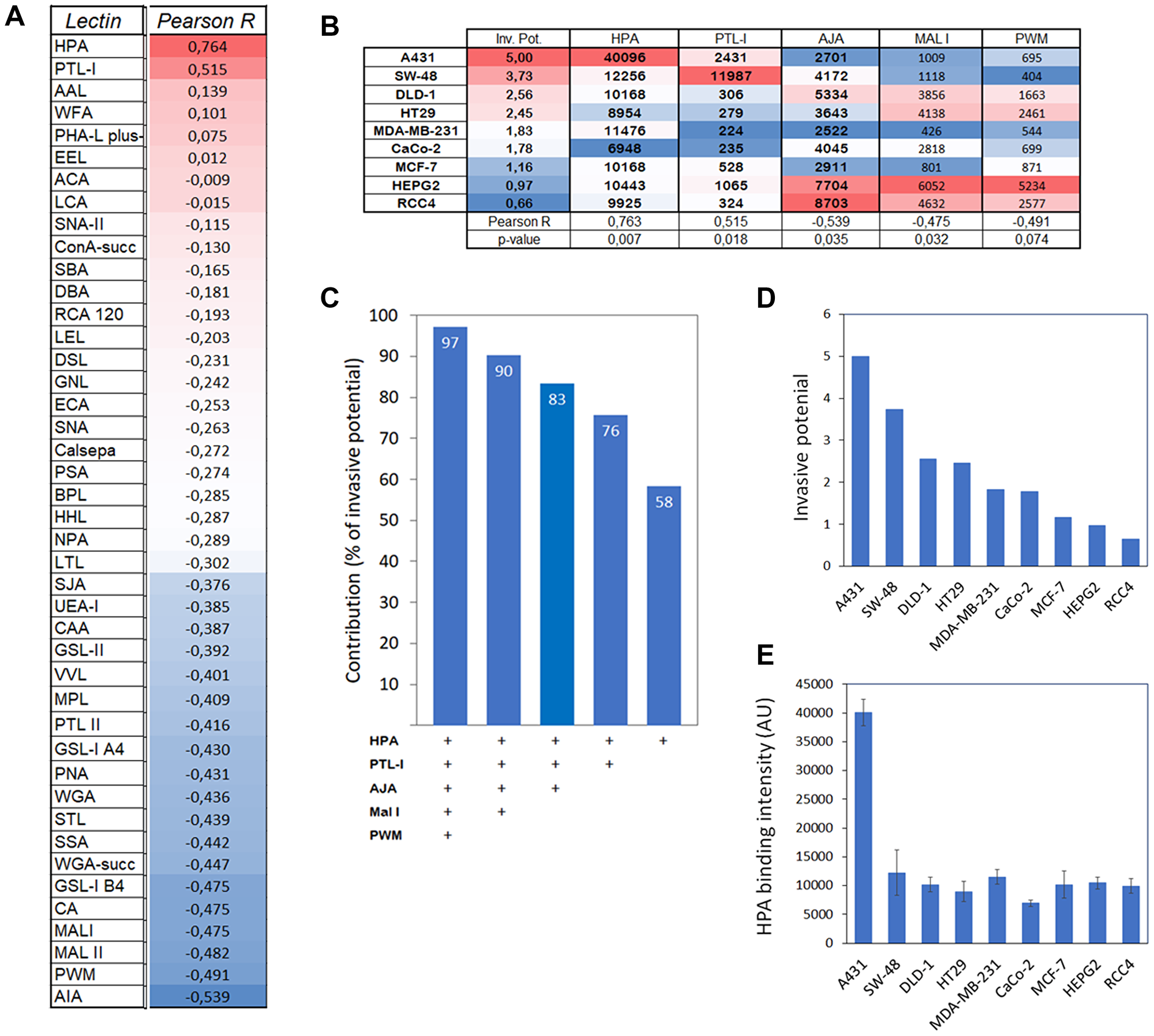 Correlation and impact of HPA binding to cancer cell invasive potential