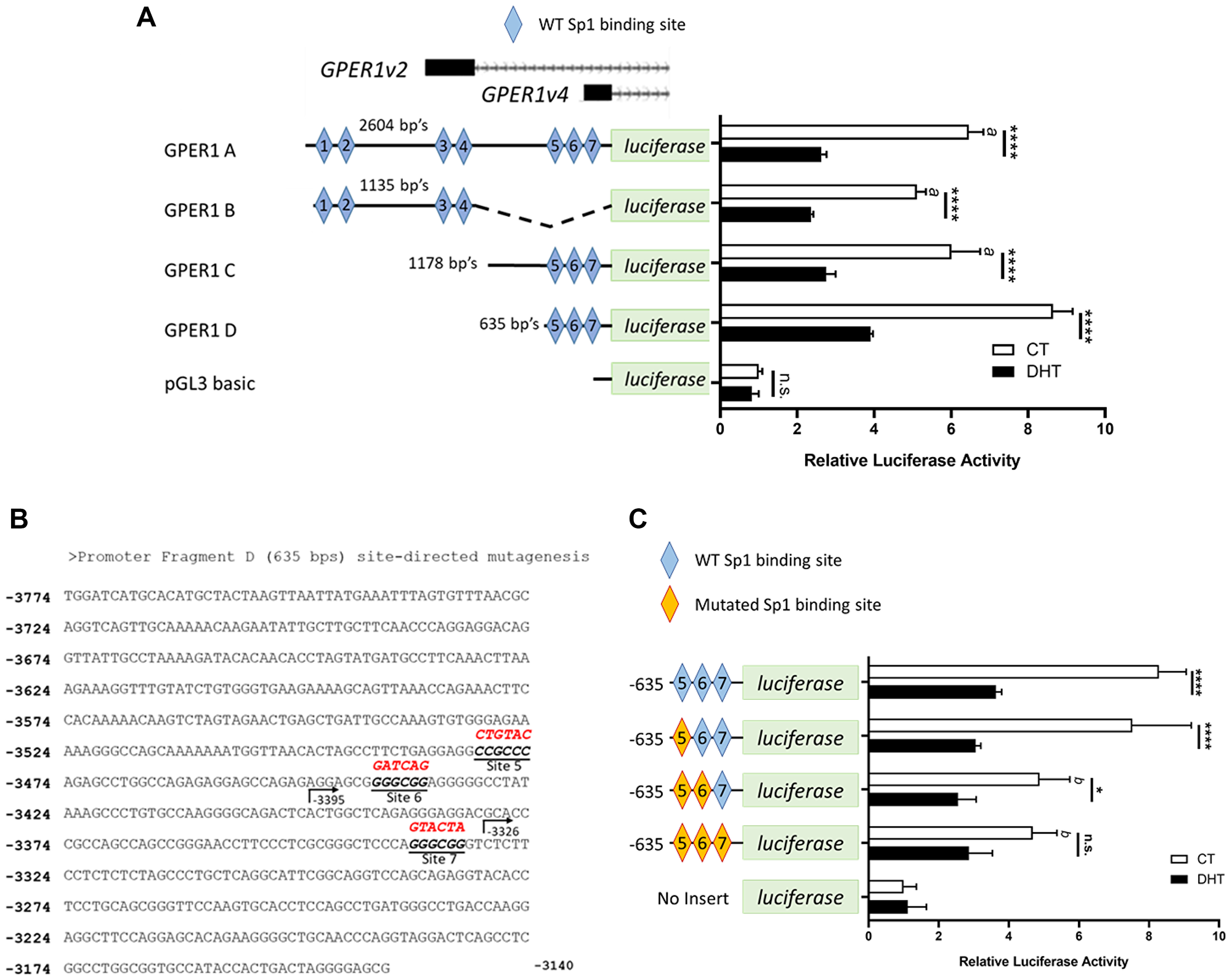 GPER1v2 and GPER1v4 promoters are repressed by androgens and deletion of predicated Sp1/Sp3 consensus sequences reduces basal expression in the GPER1v4 promoter