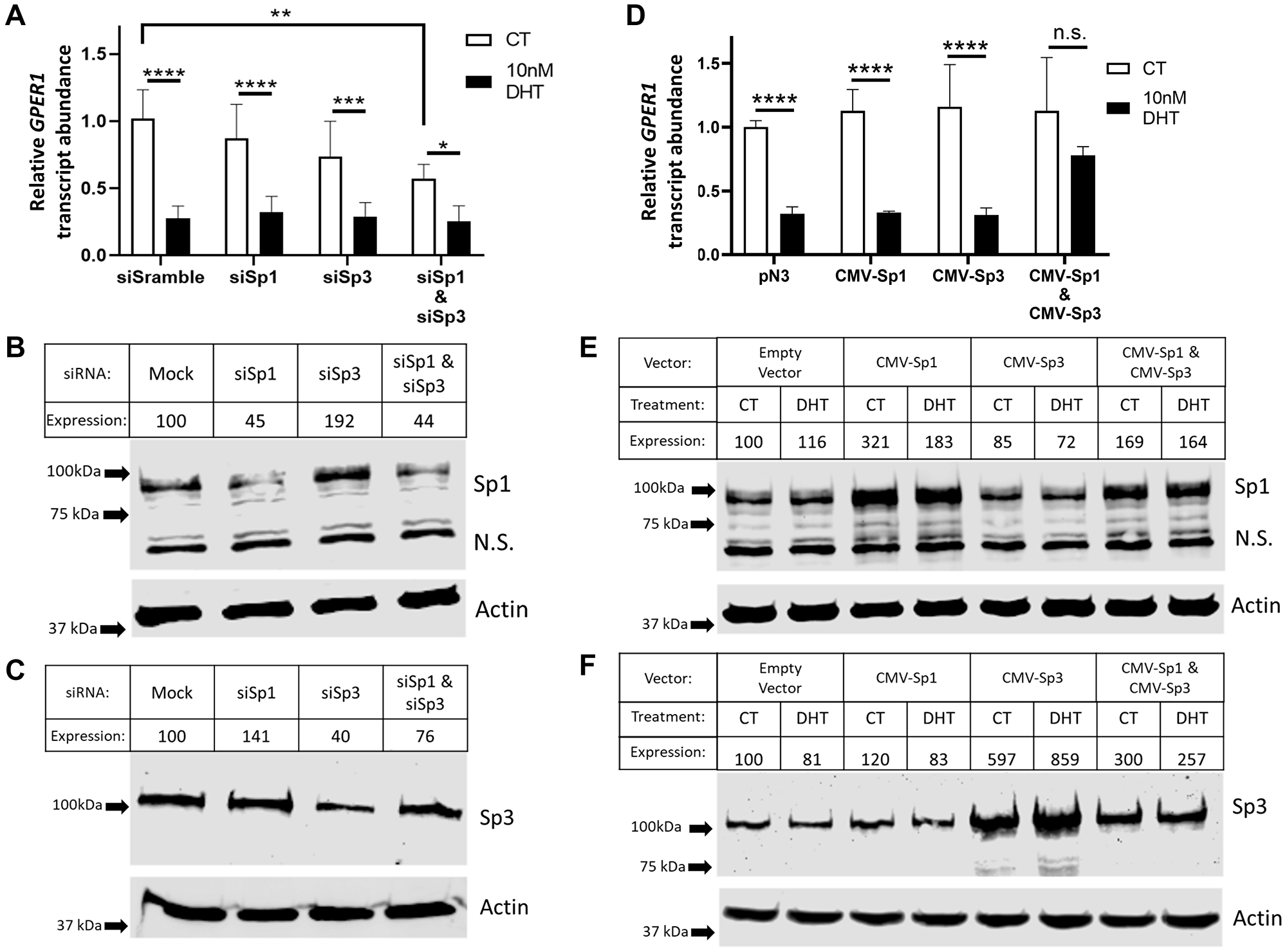 Potentially due to compensatory regulation, both Sp1 and Sp3 are implicated in regulation of GPER1