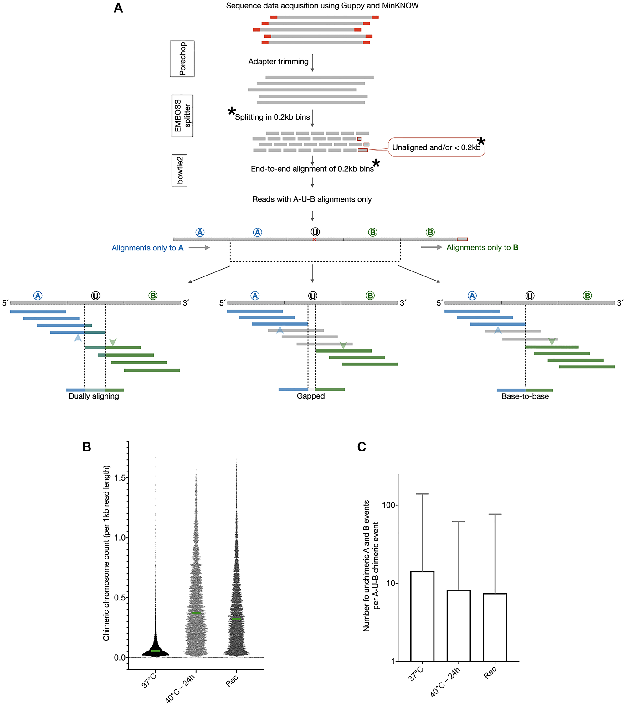 A curated analysis of genomic DNA sequence reads shows evidence of chimeric chromosomal DNA in normal cells that gets enhanced by heat stress