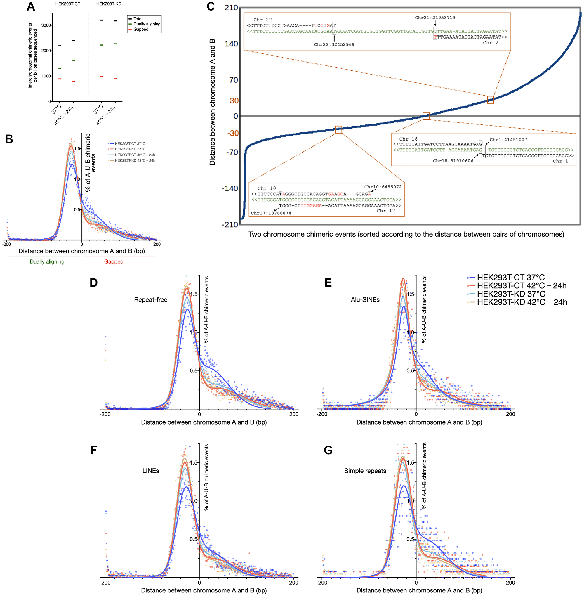 Depletion of CGGBP1 mimics the effects of heat stress on chimeric chromosomal DNA formation in HEK293T cells