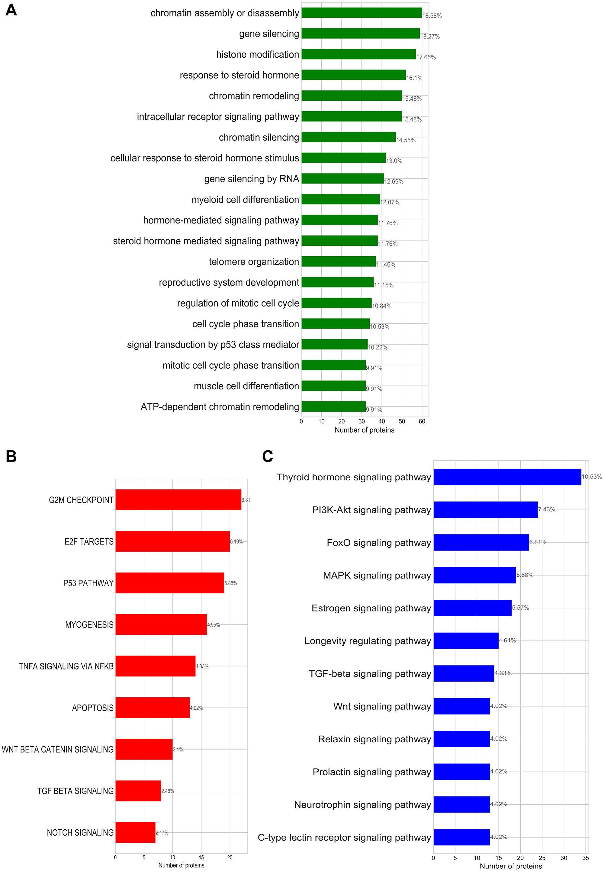 (A) Enriched GO-biological processes; (B) enriched cancer hallmark signatures; (C) enriched KEGG pathways identified for the bladder cancer subnetwork. Annotated on each bar plot is the protein ratio in each process within the putative bladder cancer sets.