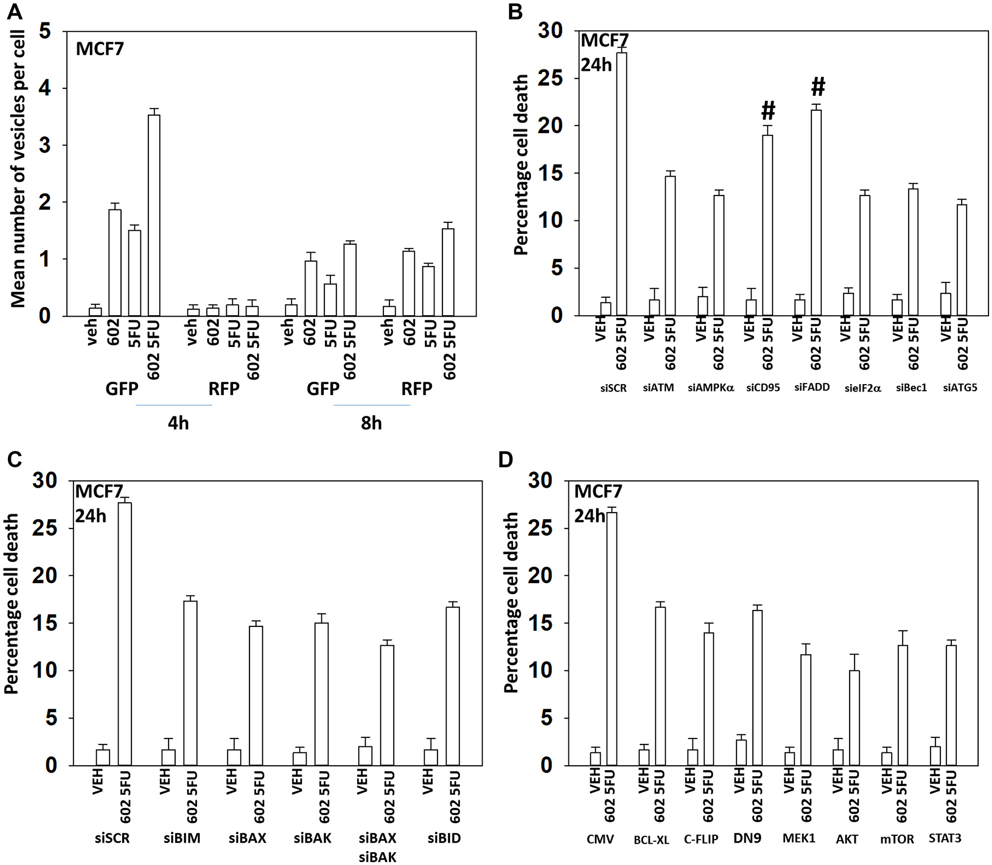 GZ17-6.02 and 5FU interact to cause autophagosome formation and toxic autophagic flux in MCF7 cells