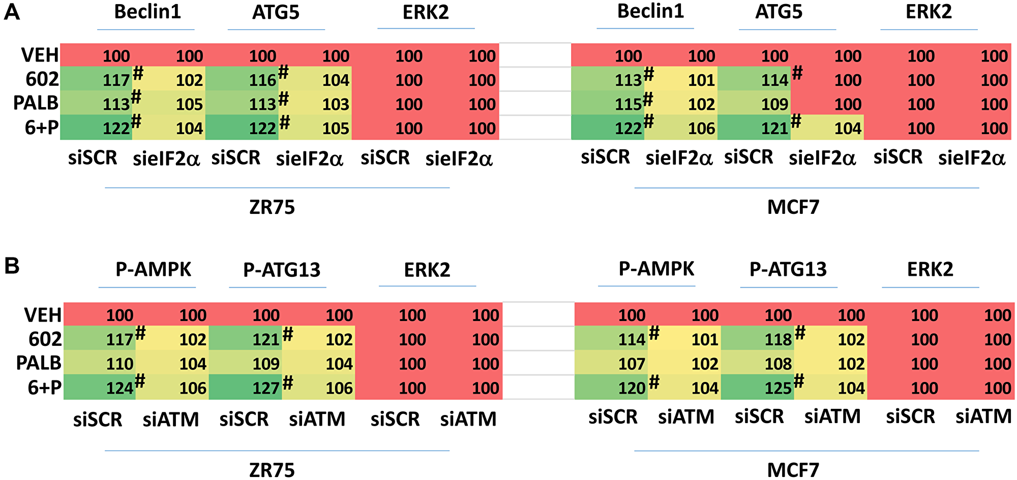 Increased expression of Beclin1 and ATG5 requires eIF2α and enhanced phosphorylation of the AMPK and ATG13 requires ATM