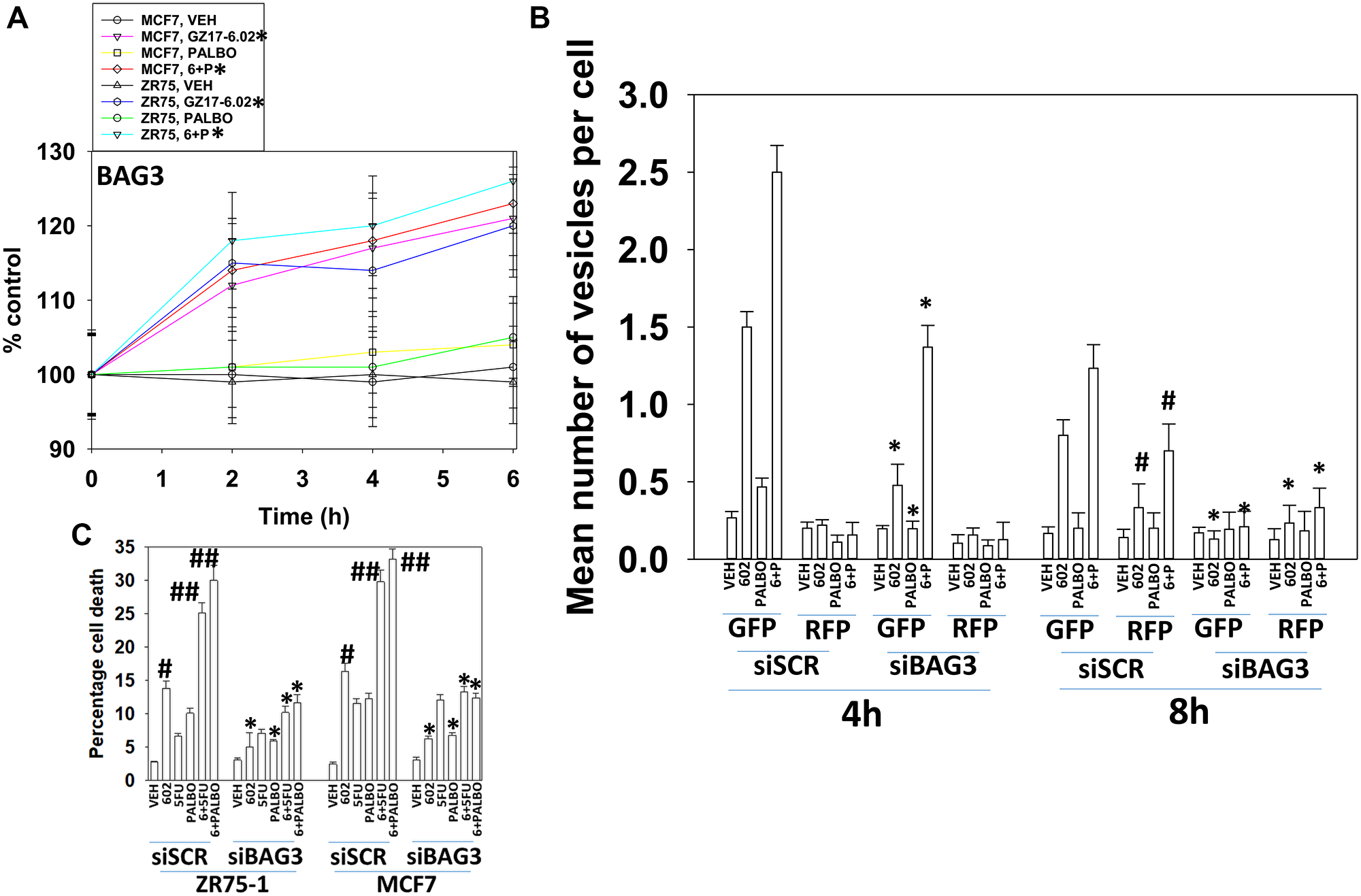 BAG3 is required for GZ17-6.02 -induced autophagy and tumor cell killing
