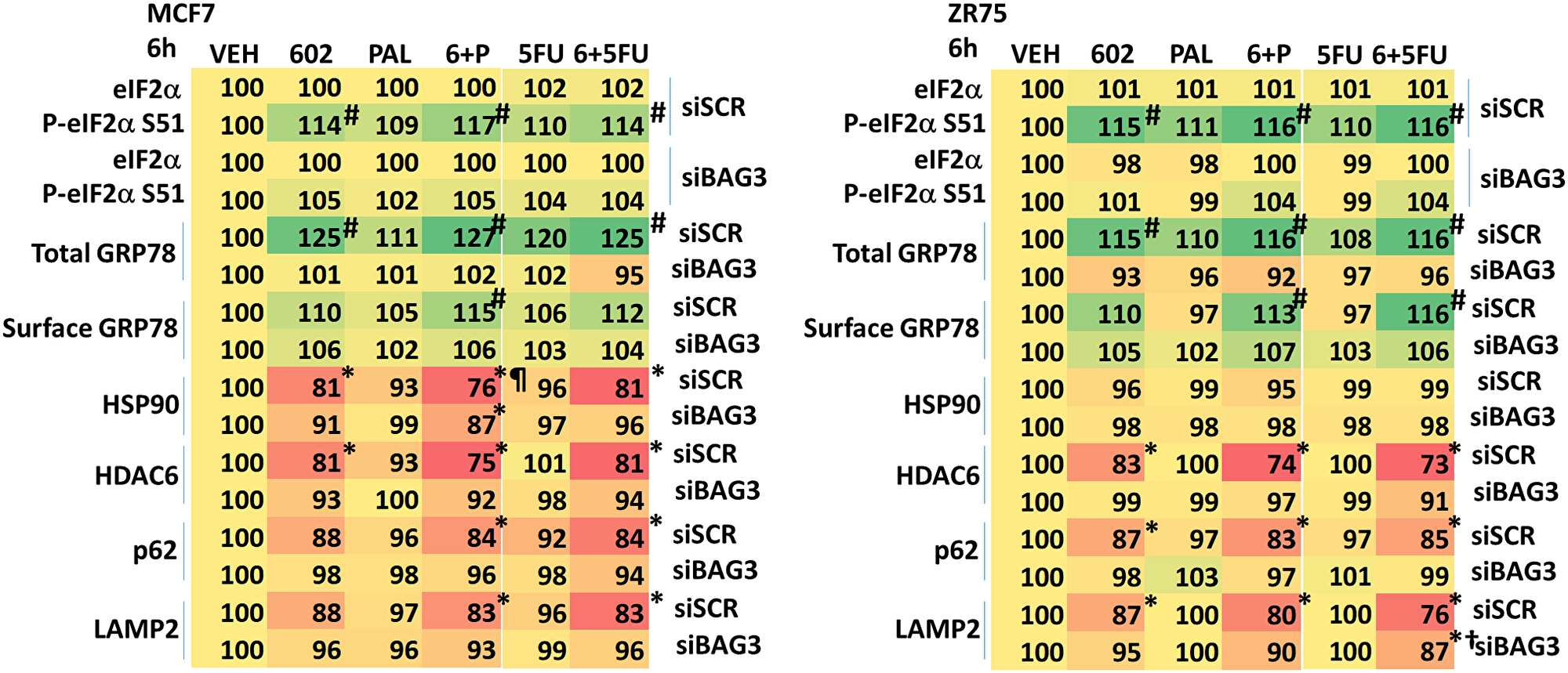 BAG3 is essential for the GZ17-6.02-induced eIF2α S51 phosphorylation and expression of GRP78
