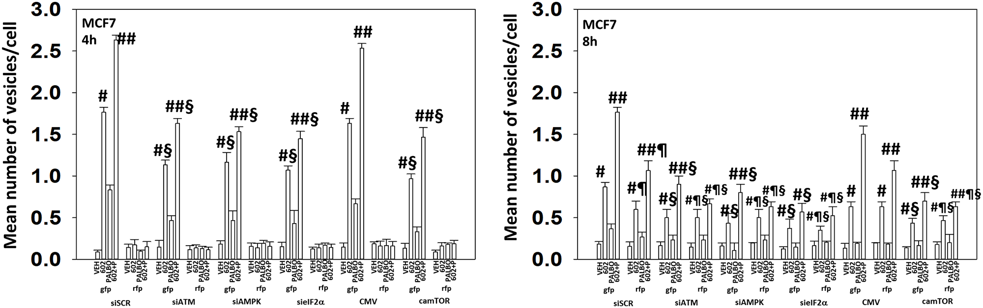 In MCF7 cells autophagic flux and the interaction between GZ17-6.02 and palbociclib requires expression of the AMPK and eIF2α
