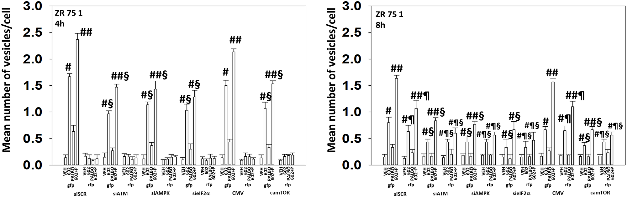 In ZR75-1 cells autophagic flux and the interaction between GZ17-6.02 and palbociclib requires expression of the AMPK and eIF2α
