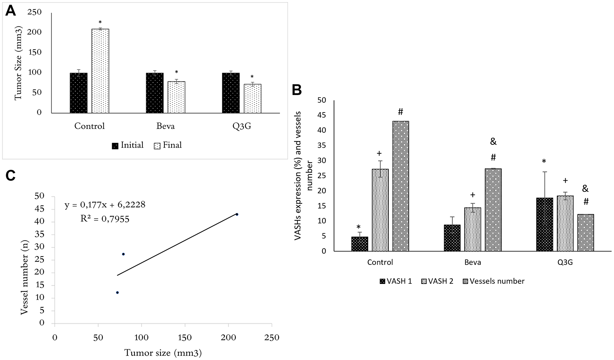 (A) Tumor size (mean ± SD) in untreated mice and beva- or Q3G-treated groups following inoculation of xenogeneic HT-29 tumor cells at the day of treatment (initial) and after 7 days (final). At the initial time (day 0), the tumor size is the same in untreated or Q3G- or beva-treated mice, whereas, after 7 days of Q3G- or beva-treatment, the tumors are smaller in both beva and Q3G groups compared to the untreated group. (n = 15, non-parametric ANOVA (Kruscal Wallis), *p $!--ESC
