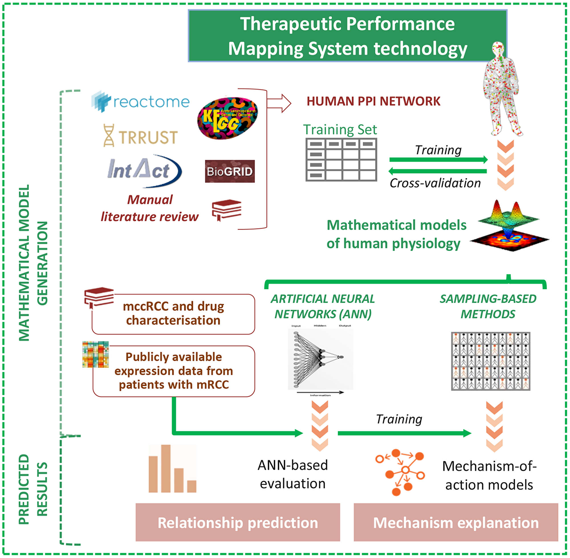 Schematic TPMS approach to analyse the efficacy and the mechanisms of action (MoA) of cabozantinib and/or a PD1 inhibitor in mRCC