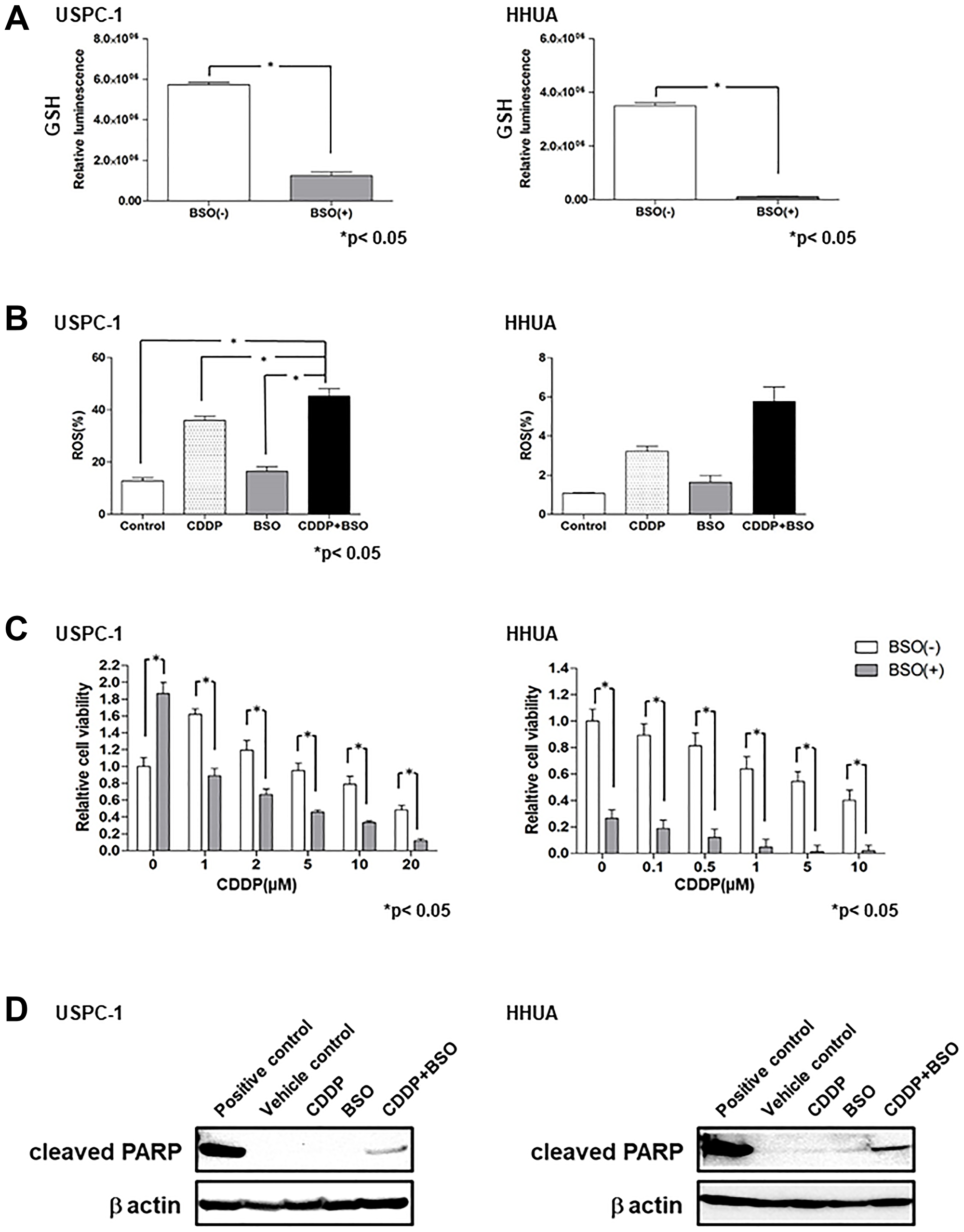 Buthionine sulfoximine (BSO) decreases intracellular glutathione (GSH) levels and inhibits cell proliferation with cisplatin (CDDP) in endometrial carcinoma cell lines