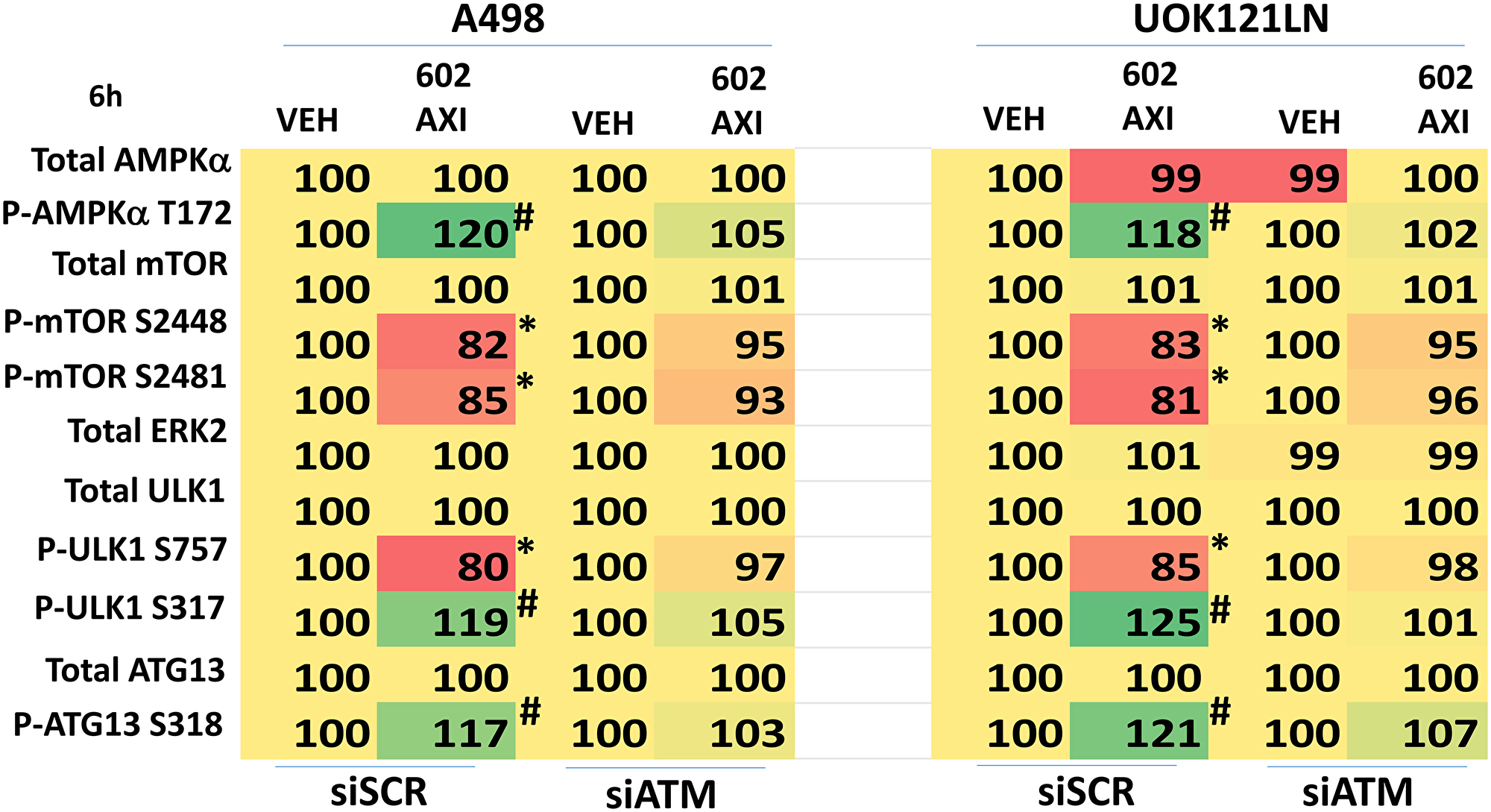 Knock down of ATM prevents [GZ17-6.02 + axitinib] regulating the phosphorylation of mTOR, ULK1 and ATG13