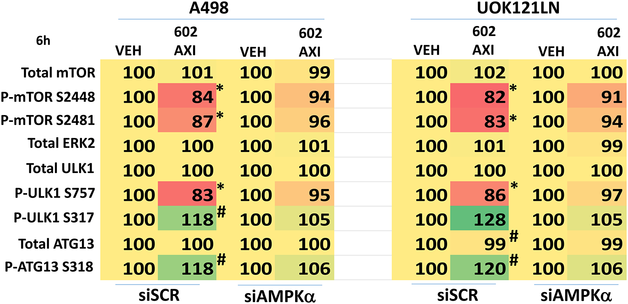 Knock down of AMPKα prevents [GZ17-6.02 + axitinib] regulating the phosphorylation of mTOR, ULK1 and ATG13