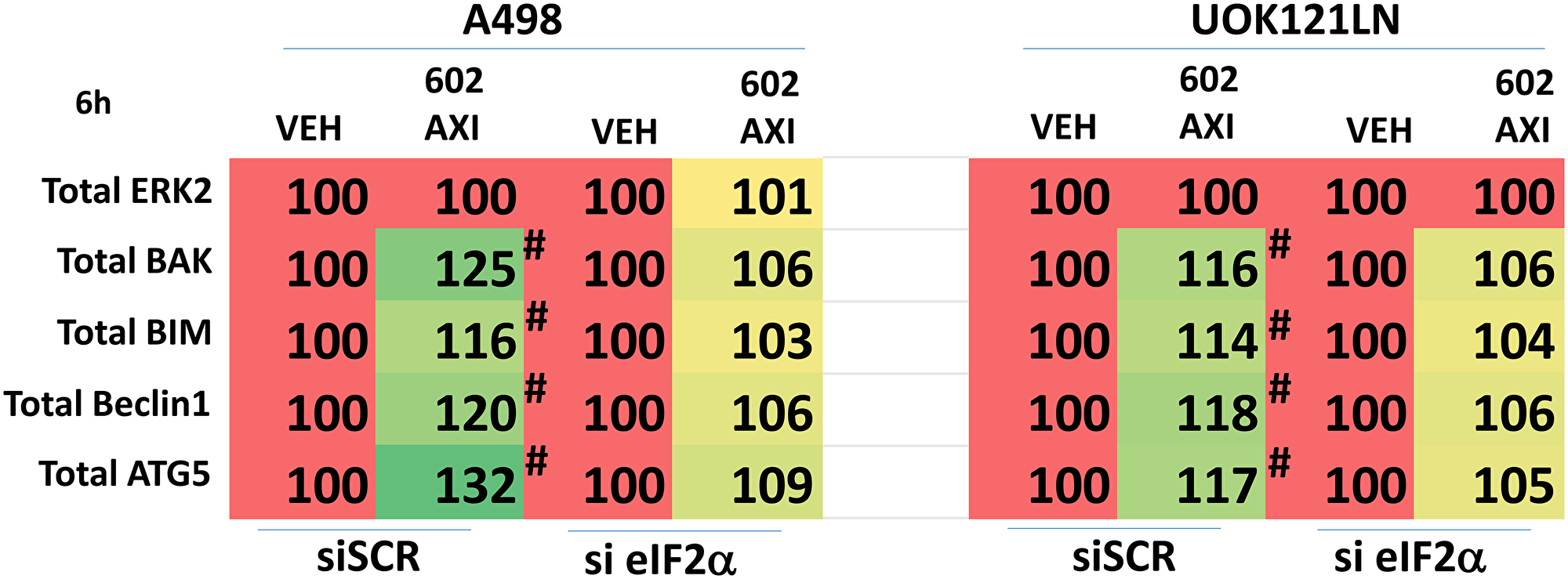 Knock down of eIF2α prevents [GZ17-6.02 + axitinib] increasing the expression of BAK, BIM, Beclin1 and ATG5