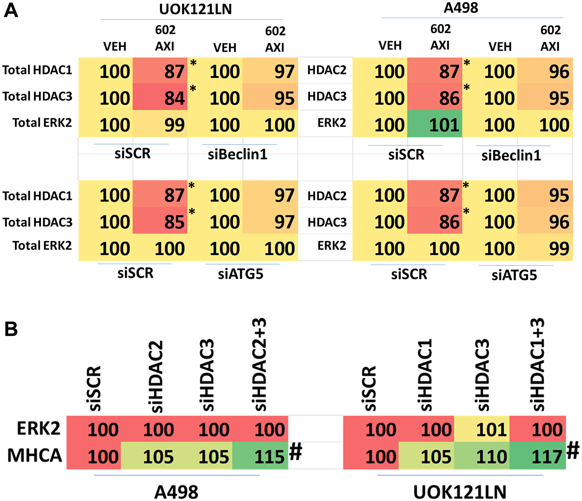 Knock down of [HDAC2 + HDAC3] or [HDAC1 + HDAC3] regulates MHCA expression in RCCs