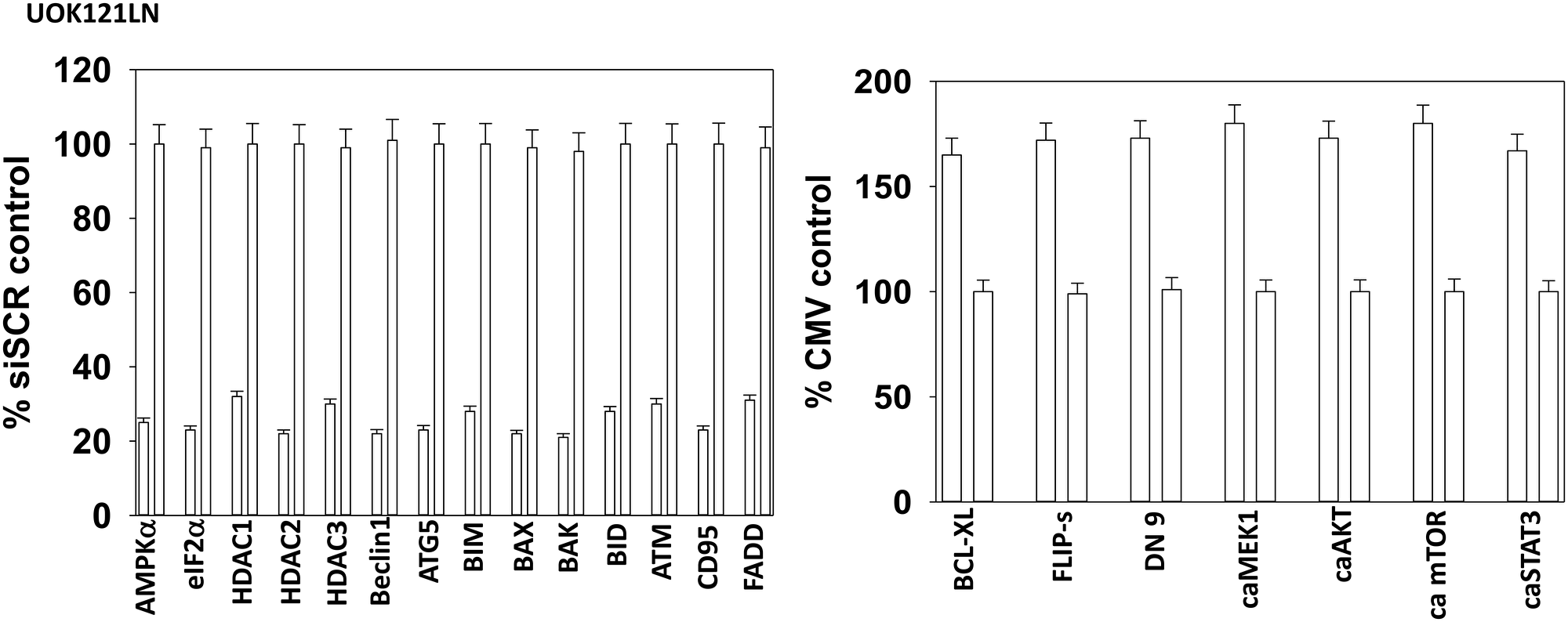 Control siRNA knock down and protein over-expression in RCCs