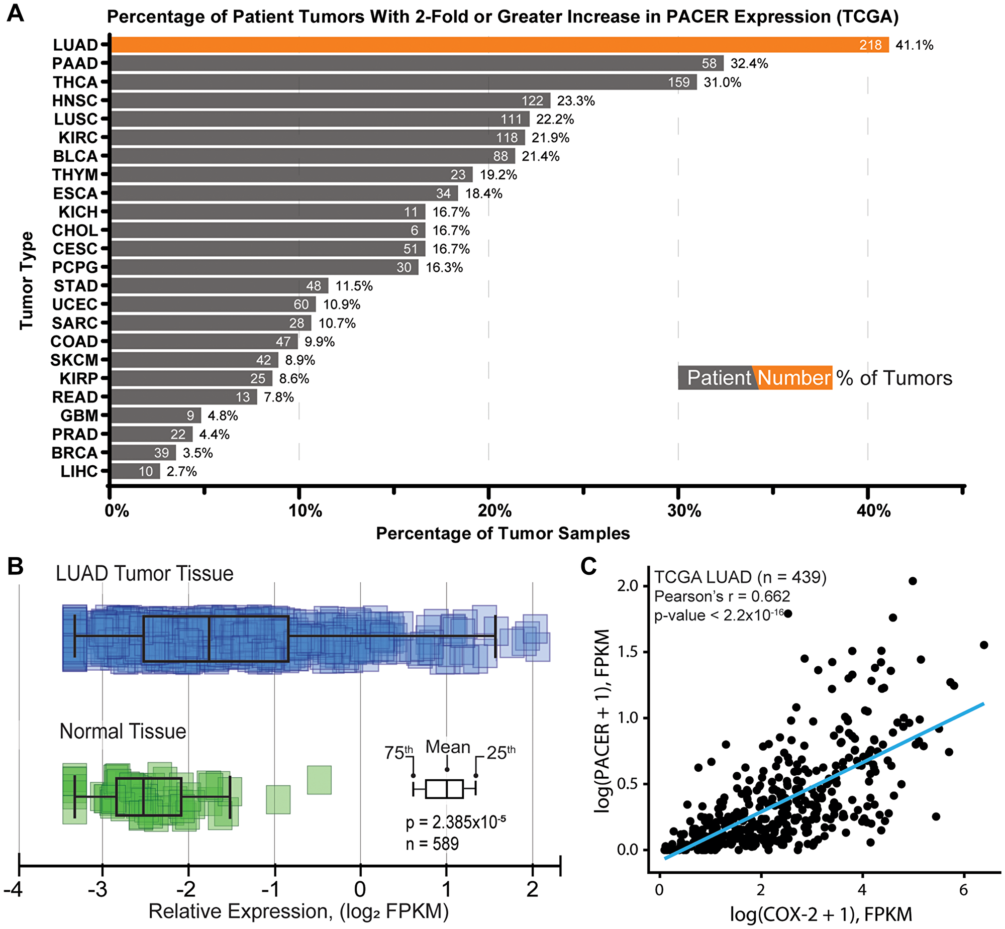 Characterization of PACER expression in lung adenocarcinoma (LUAD) and normal tissue