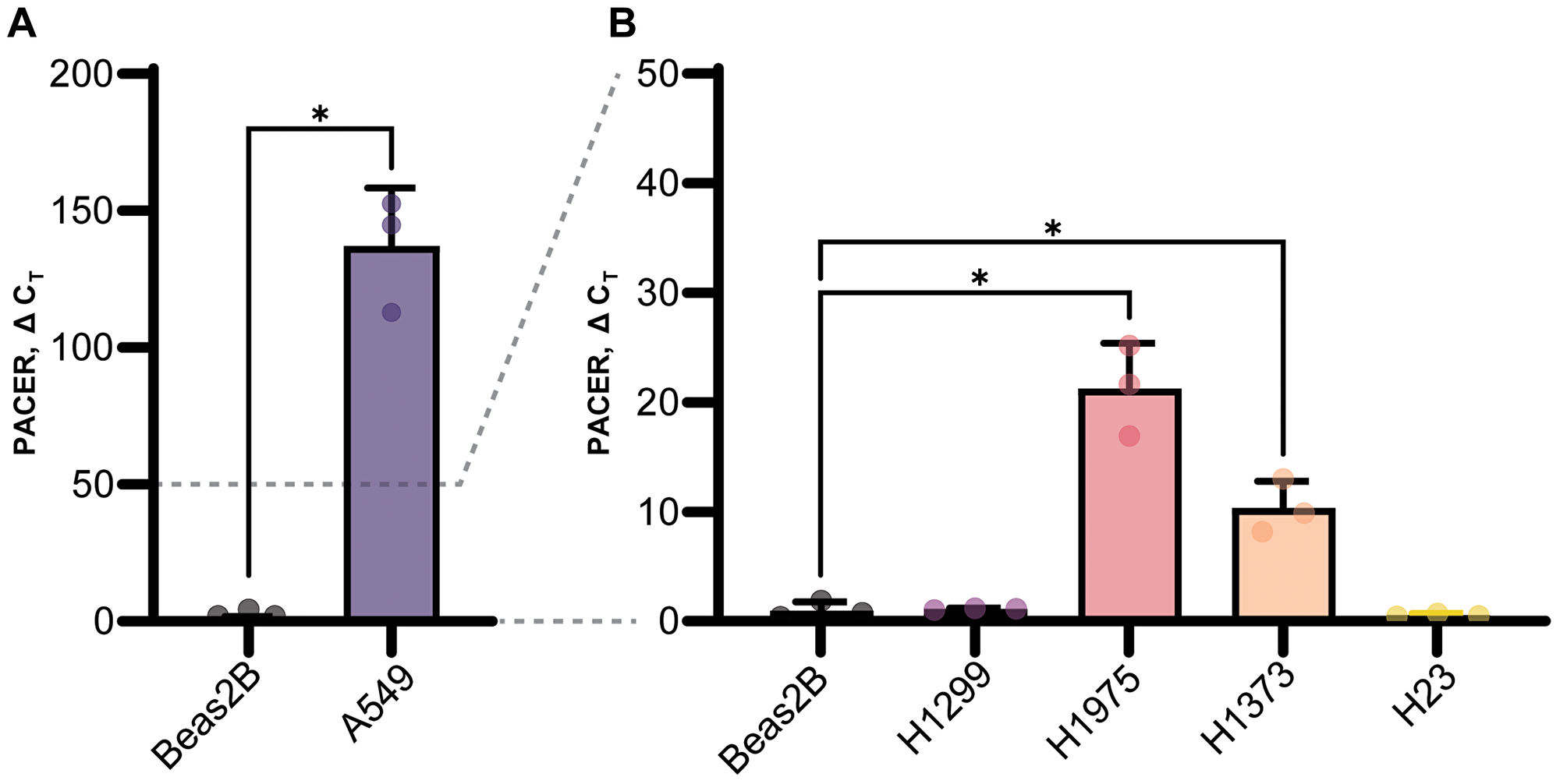 Baseline PACER expression in lung cell lines