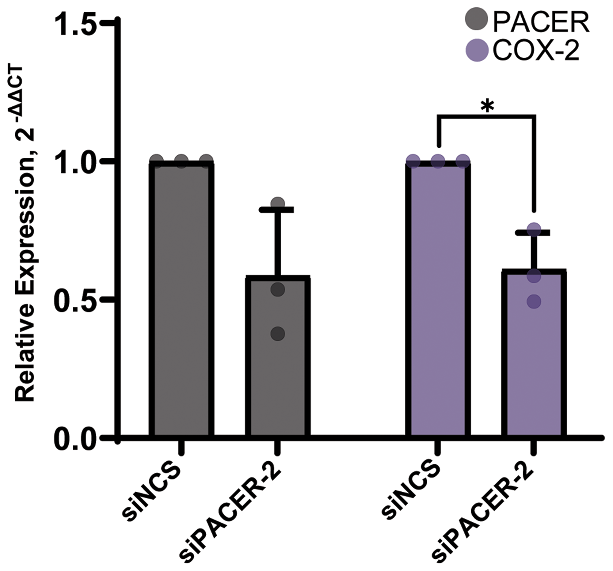 siRNA-mediated knockdown of PACER significantly decreased COX-2 expression