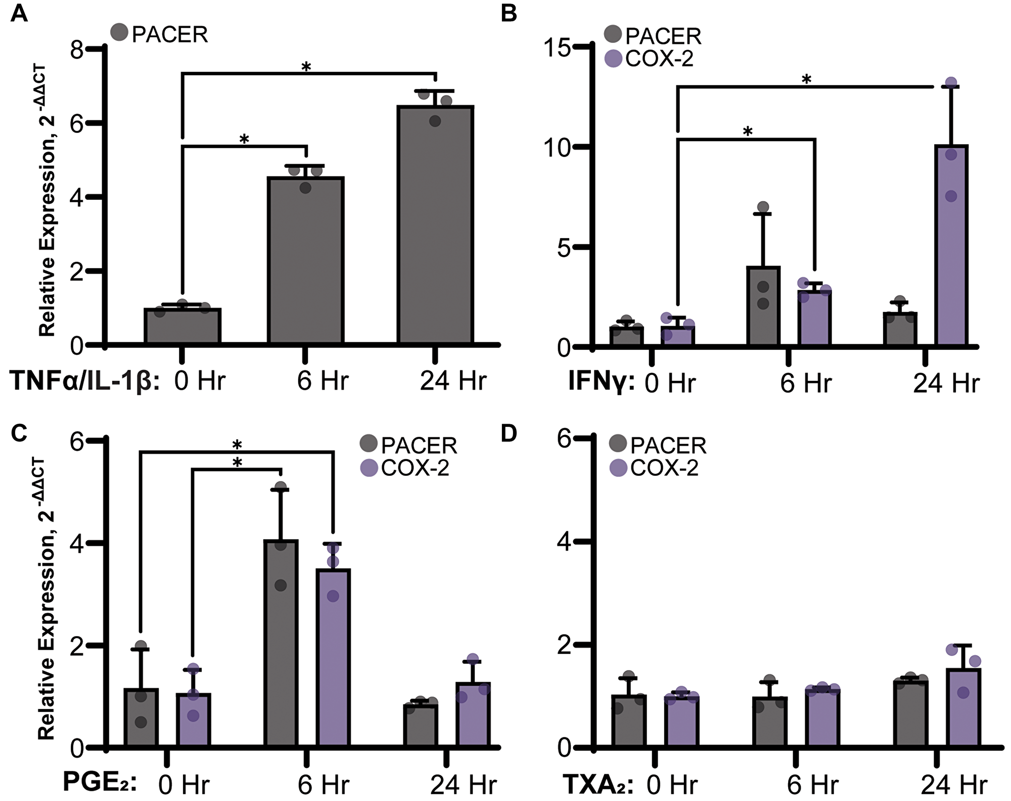 Stimulation of PACER expression in A549 cells treated with (A) 50 ng/mL TNFα and 10 ng/mL IL-1β IL-1β, (B) 50 ng/mL IFNγ, (C) 1 μM PGE2 or (D) 1 μM TXA2. RNA was isolated from A549 cells 24 hours after treatment and was analyzed for changes in PACER and COX-2 expression relative to the untreated control via qRT-PCR. (A) Cytokine stimulation with TNF-α/IL-1β significantly increased PACER expression in a time dependent manner (6 hours, p = 0.001, 24 hours, p = 0.001). (B) IFNγ could stimulate expression of COX-2 but not PACER (6 hours, p = 0.005, 24 hours p = 0.030). (C) PGE2 treatment increased both PACER and COX-2 expression at 6 hours (p = 0.016, p = 0.003). (D) Treatment with TXA2 did not have any significant effect on PACER or COX-2 expression. Error bars indicate standard error of the mean. * indicates p $!--ESC
