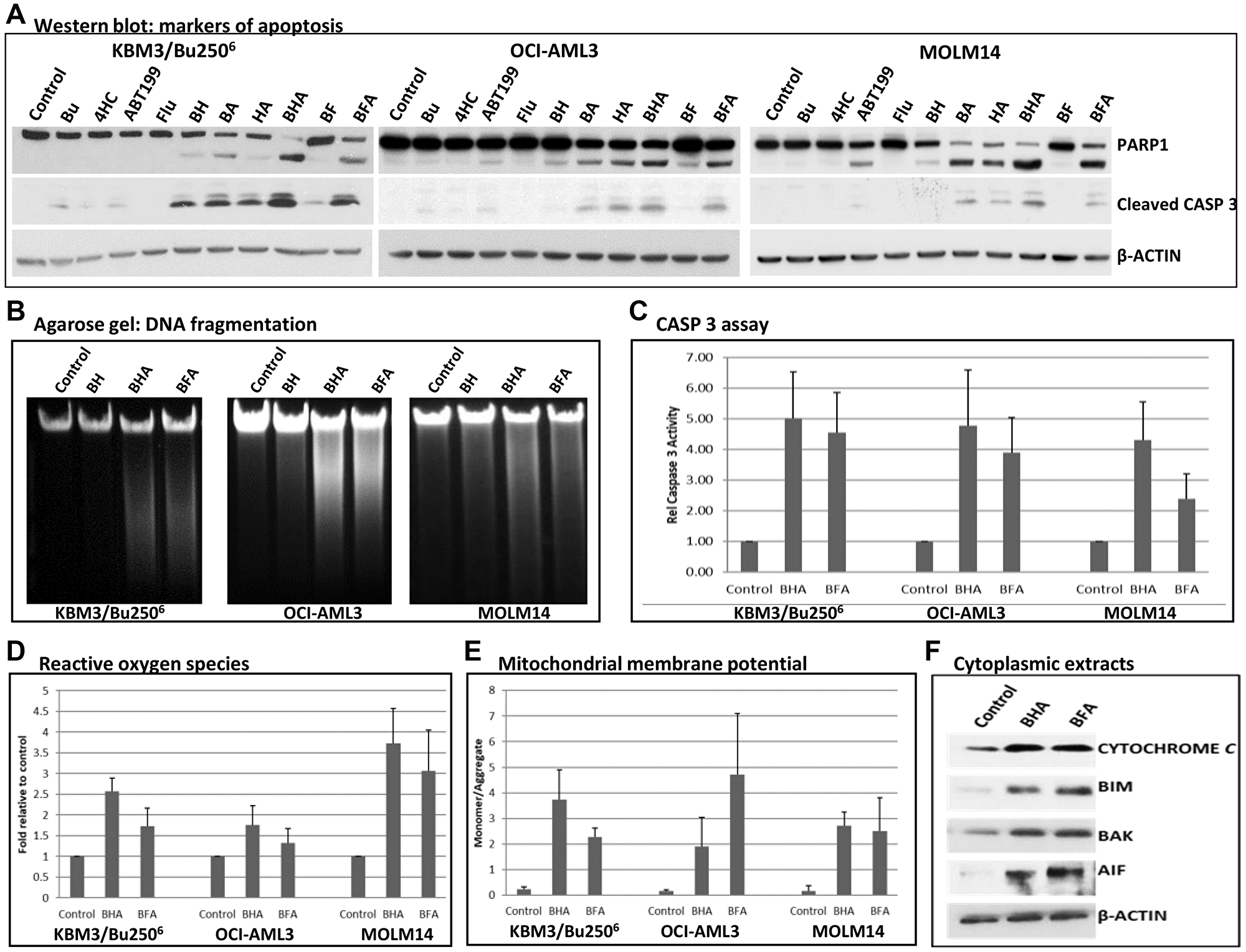 Effect of individual and combined drugs on the status of molecular markers of apoptosis