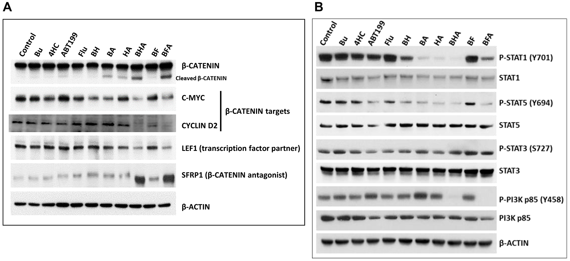 Effect of drugs, alone or in combination, on the status of various proteins involved in cellular pro-survival signaling pathways