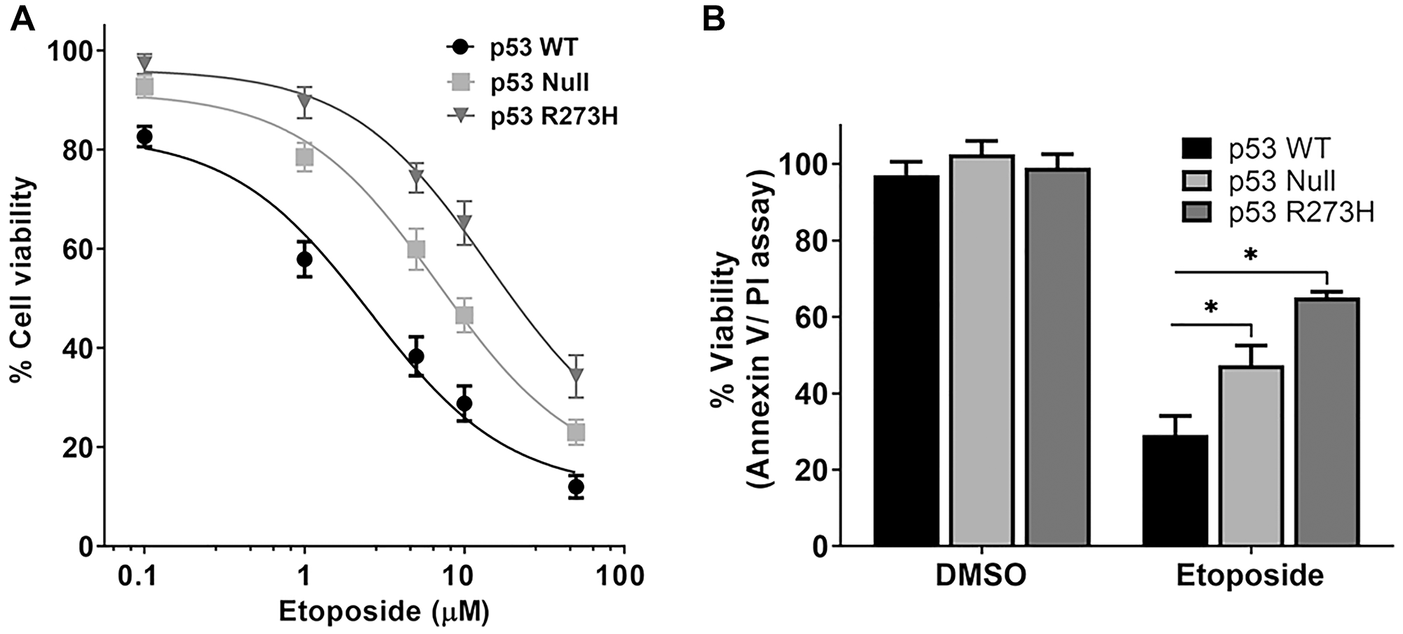 TP53 genotype-dependent cytotoxic effect of etoposide in HCT116 colon cancer cells