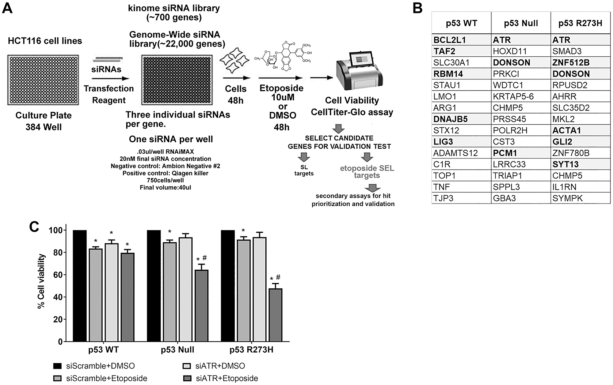 Identification of ATR as an etoposide SEL target in p53 nonfunctional cellular background