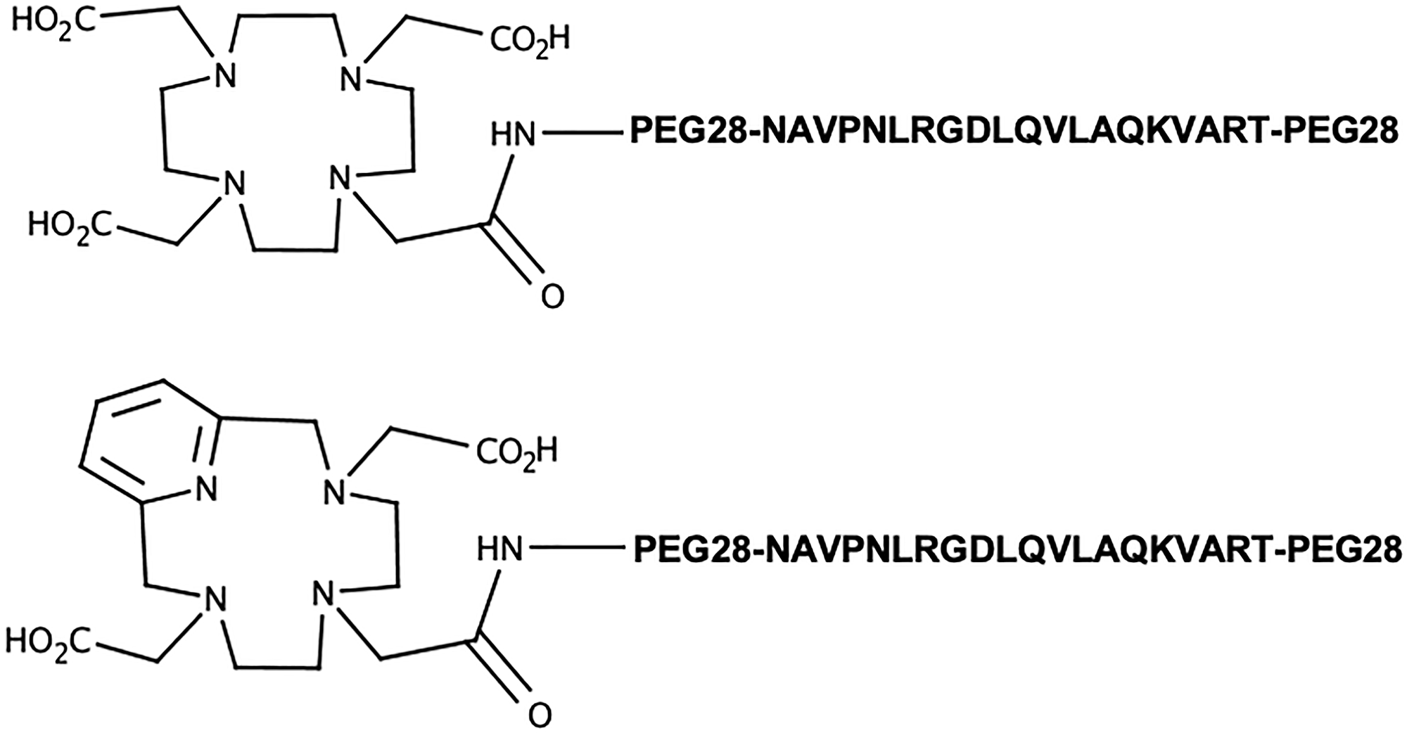 Structures of the ανβ6-targeting ligands investigated herein