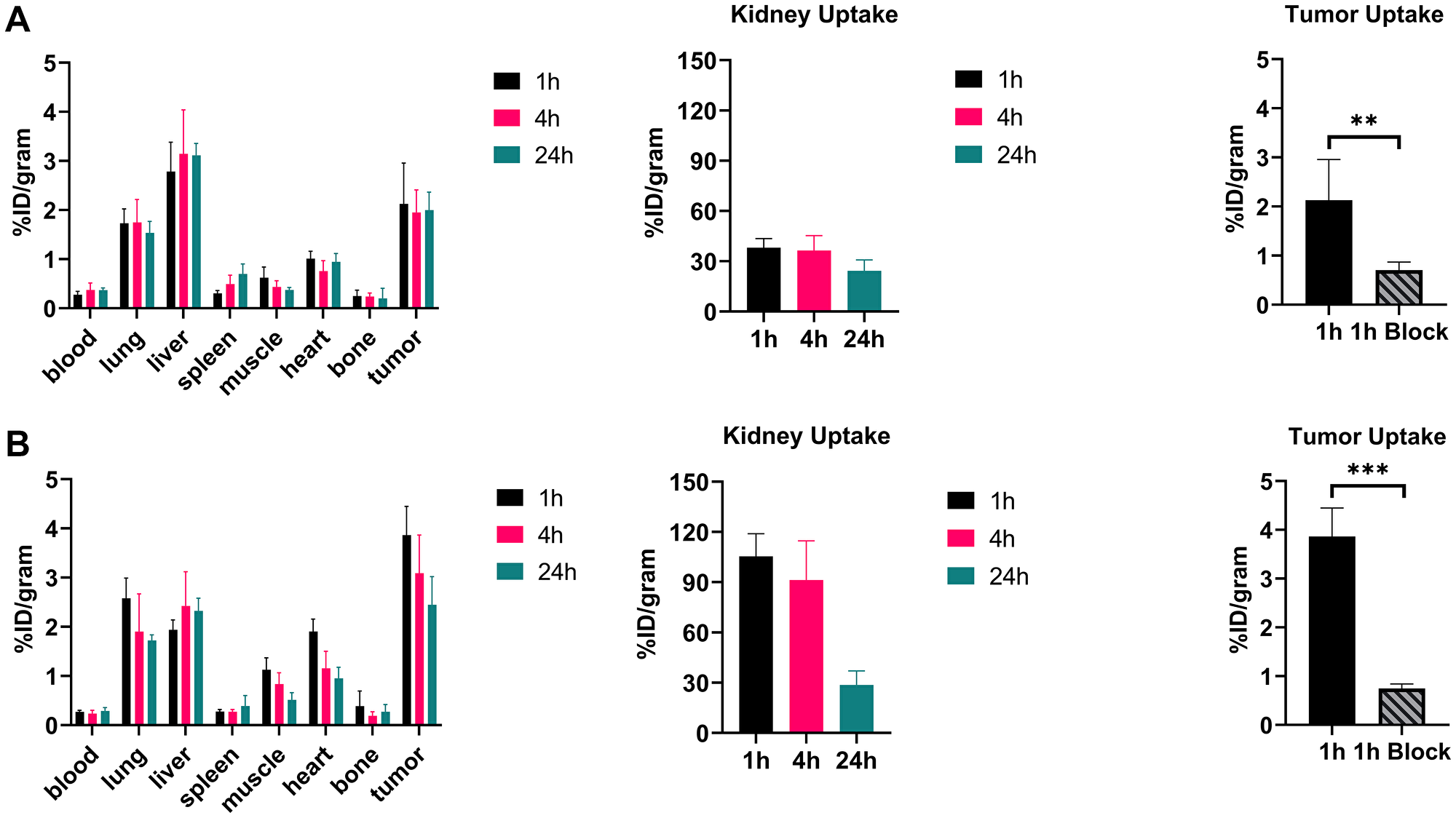 Biodistribution of 64Cu radiotracers in mice bearing ανβ6-expressing BxPC-3 xenograft tumors (A) Radiotracer uptake of [64Cu]Cu-DOTA-(PEG28)2-A20FMDV2 (B) Radiotracer uptake of [64Cu]Cu-PCTA-(PEG28)2-A20FMDV2 in tumors and selected organs (%ID/g; bars = SD; tumors: n = 4 per time point) (**p $!--ESC