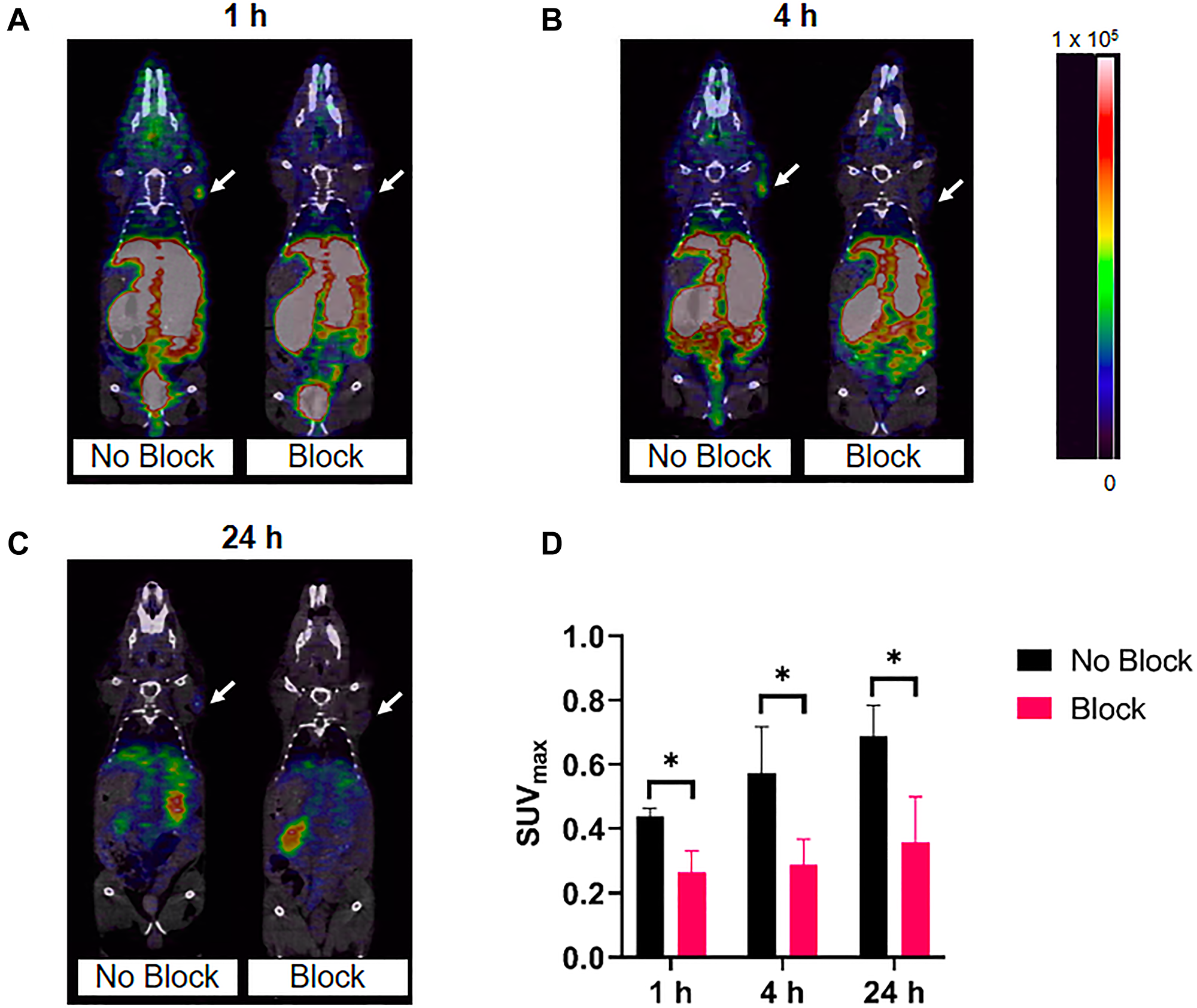 Representative micro-PET/CT co-registration images of [64Cu]Cu-DOTA-(PEG28)2-A20FMDV2 in athymic nude mice bearing BxPC-3 tumors (n = 3)