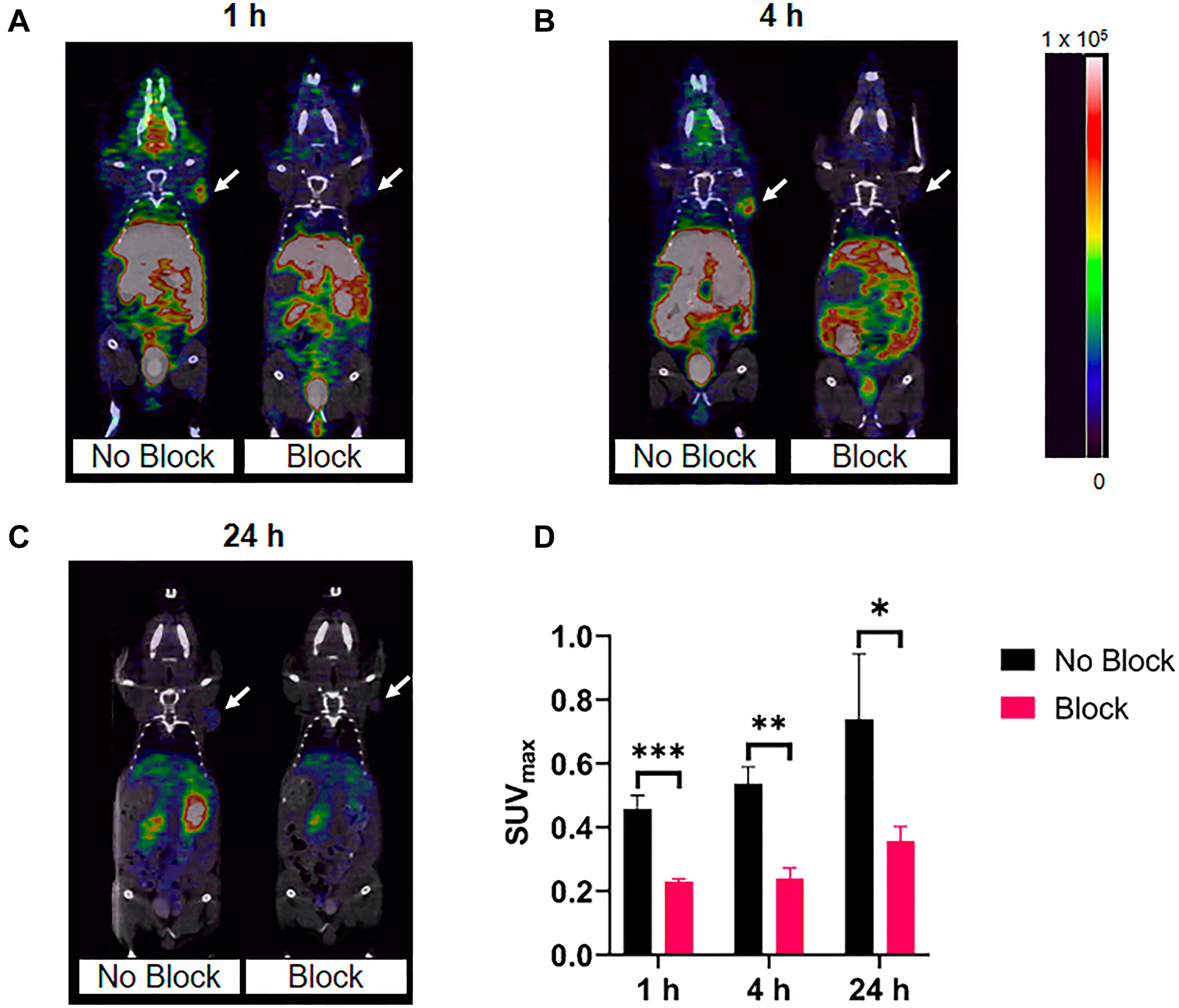 Representative micro-PET/CT co-registration images of [64Cu]Cu-PCTA-(PEG28)2-A20FMDV2 in athymic nude mice bearing BxPC-3 tumors (n = 3)