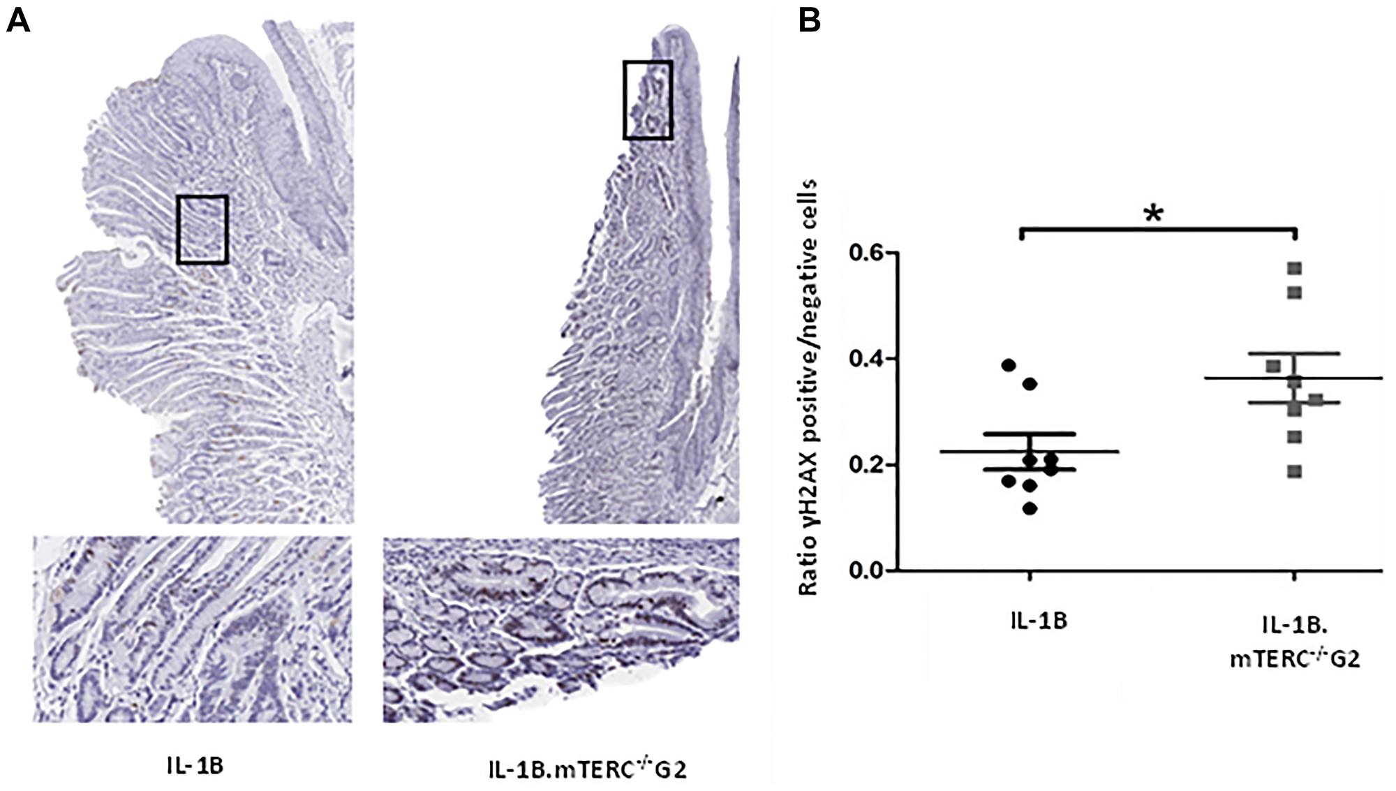 DNA-damage analysis