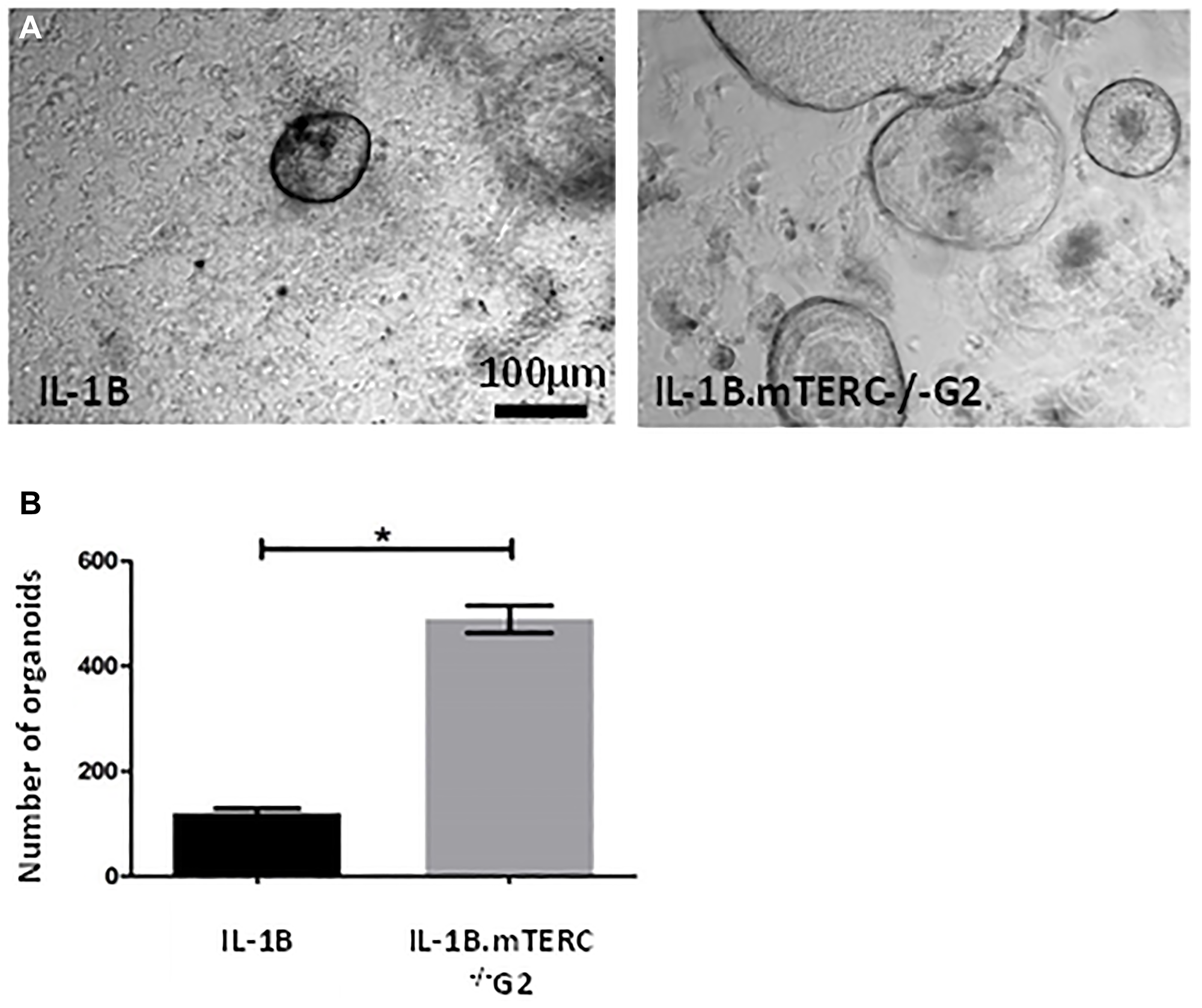 In-vitro analysis
