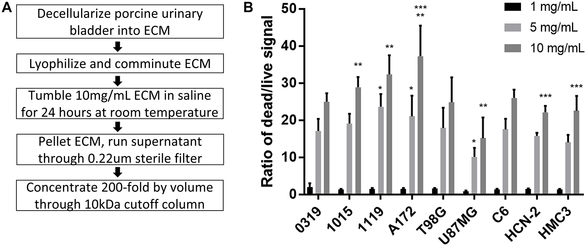 ECM-SF isolation and effect on glioma cells